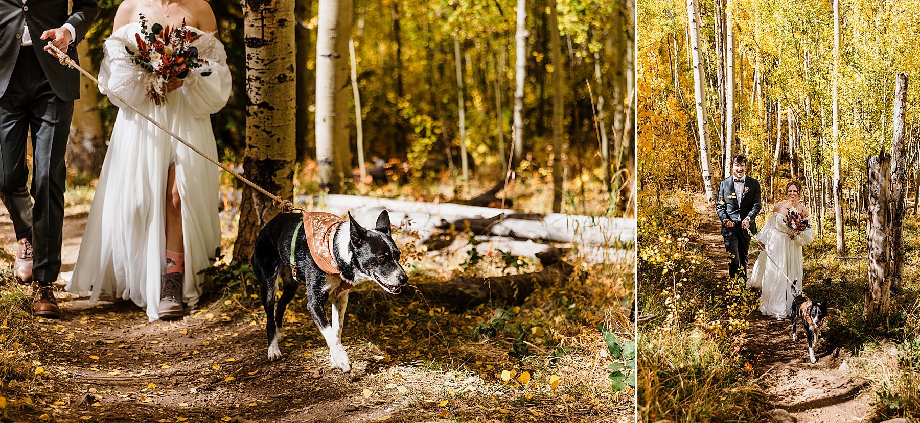 Fall-colors-elopement-in-colorado013.jpg