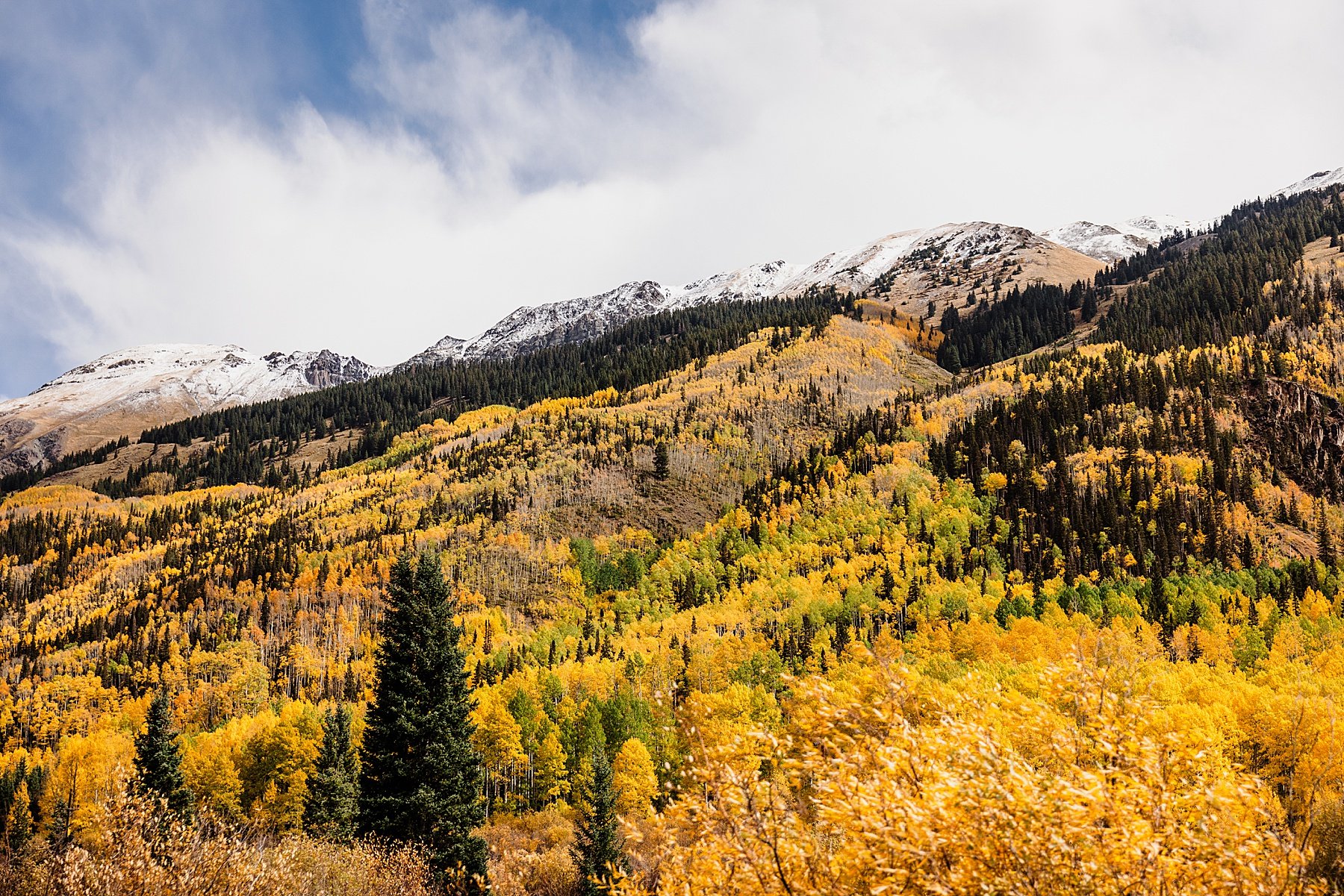 Fall-Telluride-Elopement-in-Colorado_0052.jpg