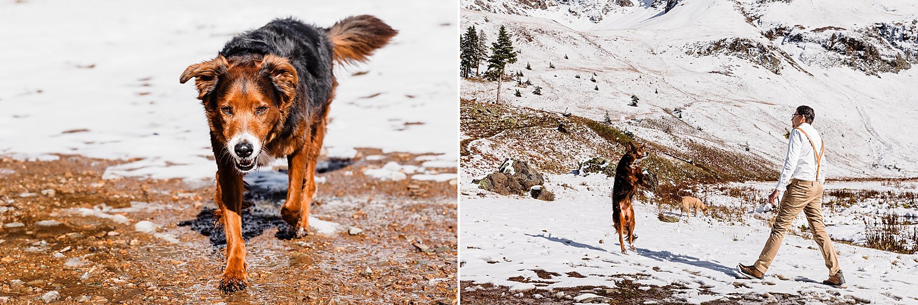 Fall-Ouray-Elopement-in-Colorado-with-Dogs_094.jpg