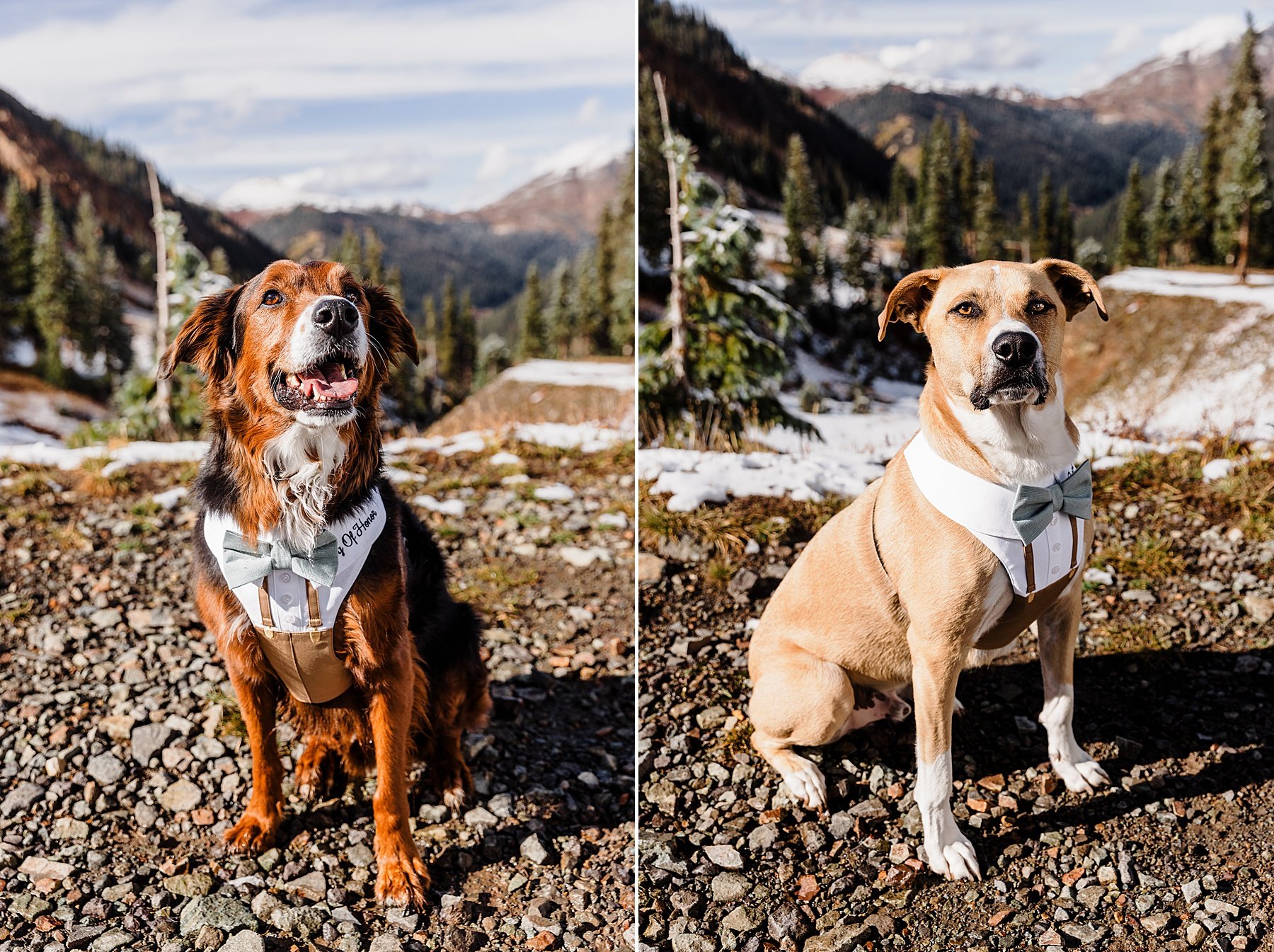 Fall-Ouray-Elopement-in-Colorado-with-Dogs_097.jpg