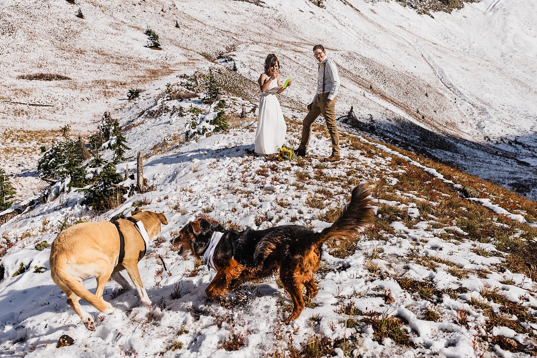 Fall-Ouray-Elopement-in-Colorado-with-Dogs_109.jpg