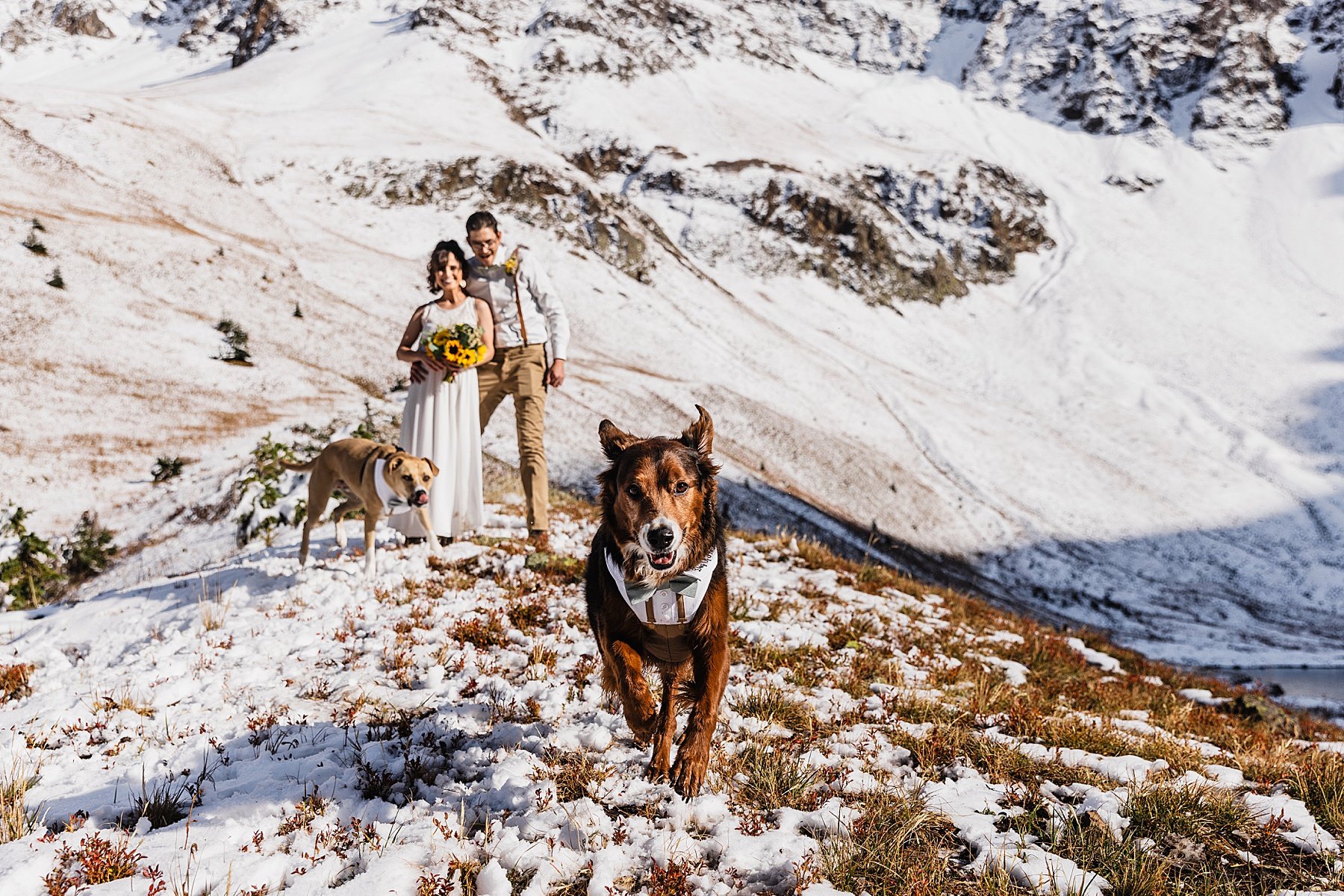 Fall-Ouray-Elopement-in-Colorado-with-Dogs_119.jpg