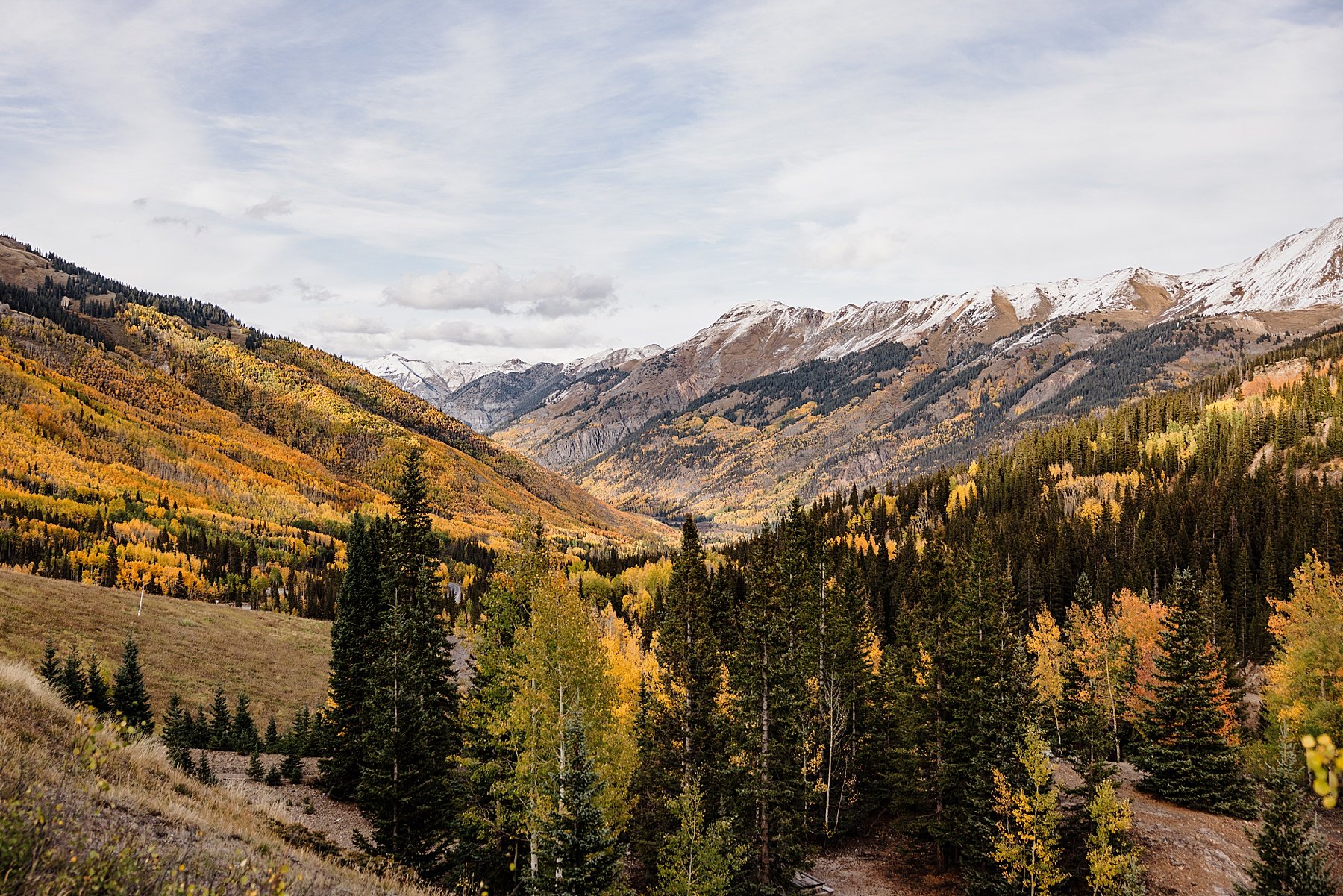 Fall-Ouray-Elopement-in-Colorado-with-Dogs_123.jpg