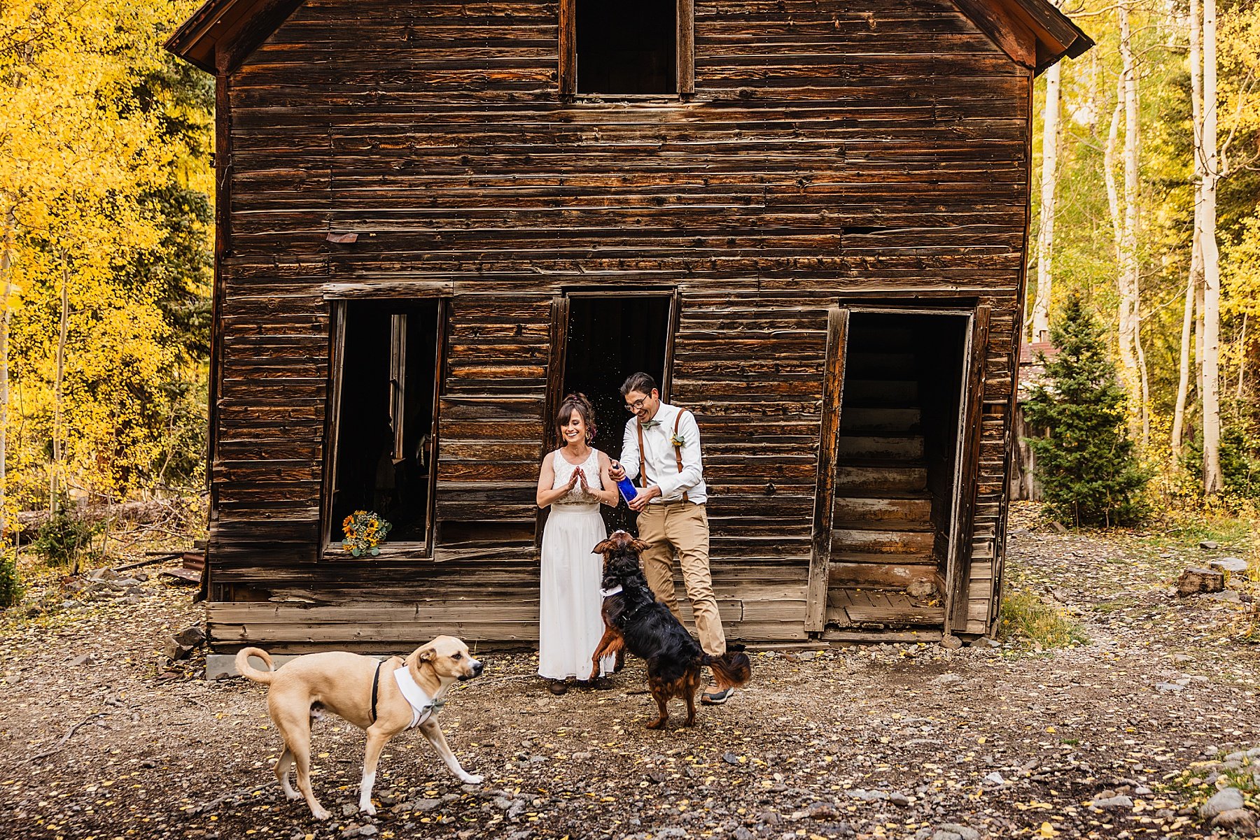 Fall-Ouray-Elopement-in-Colorado-with-Dogs_141.jpg