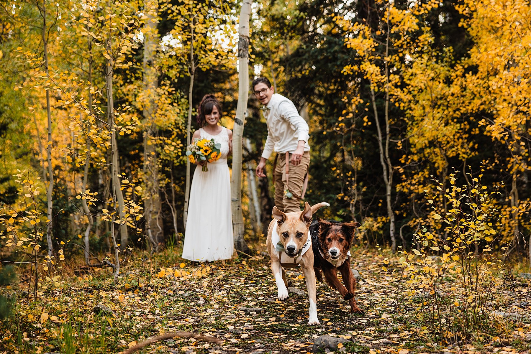 Fall-Ouray-Elopement-in-Colorado-with-Dogs_144.jpg