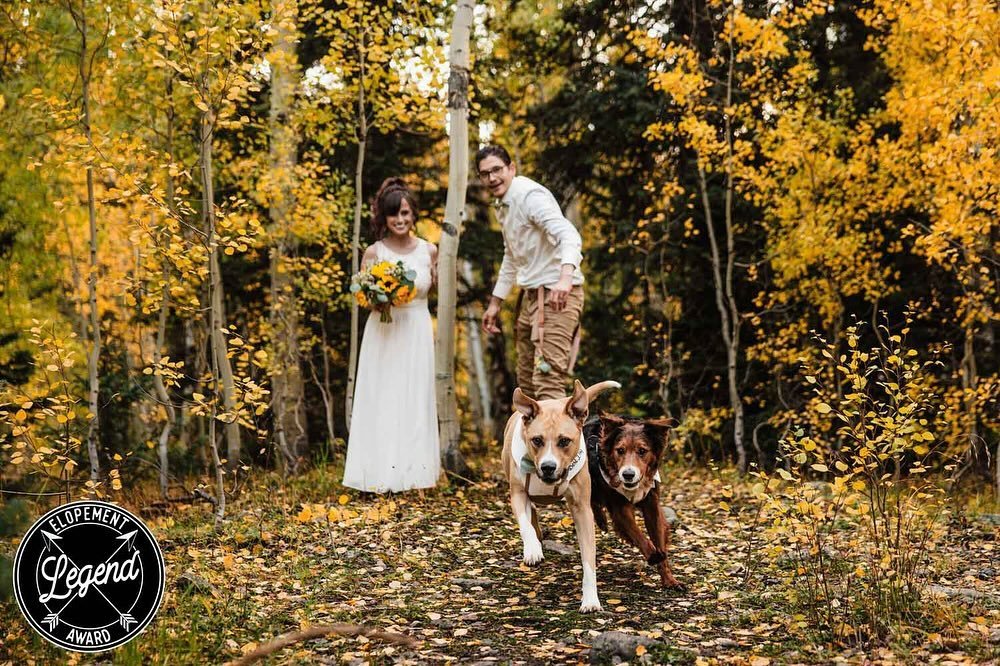 We are so excited to announce that two of our photos won in the first-ever Elopement Photography Awards!

These two photos represent some of our favorite things about elopements. The freedom to break traditional wedding rules, the time and space to w