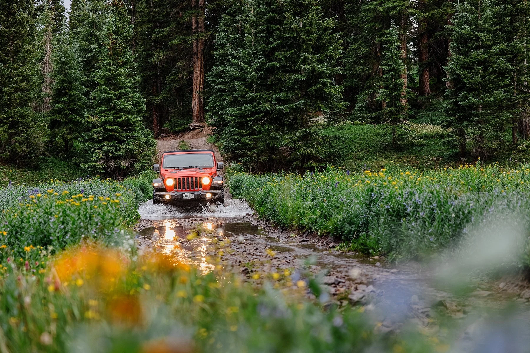Summer-Elopement-in-Ouray-Colorado_0012.jpg