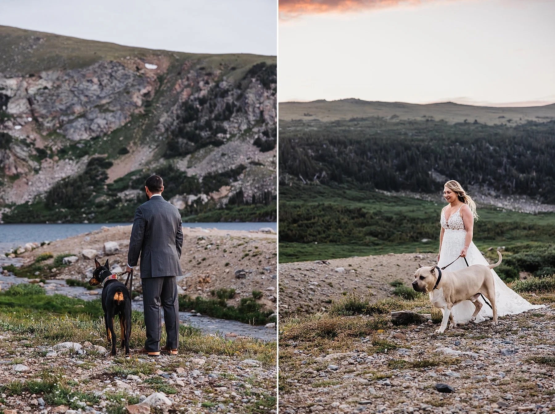 Summer-Elopement-in-Breckenridge-with-Dogs_0003.jpg