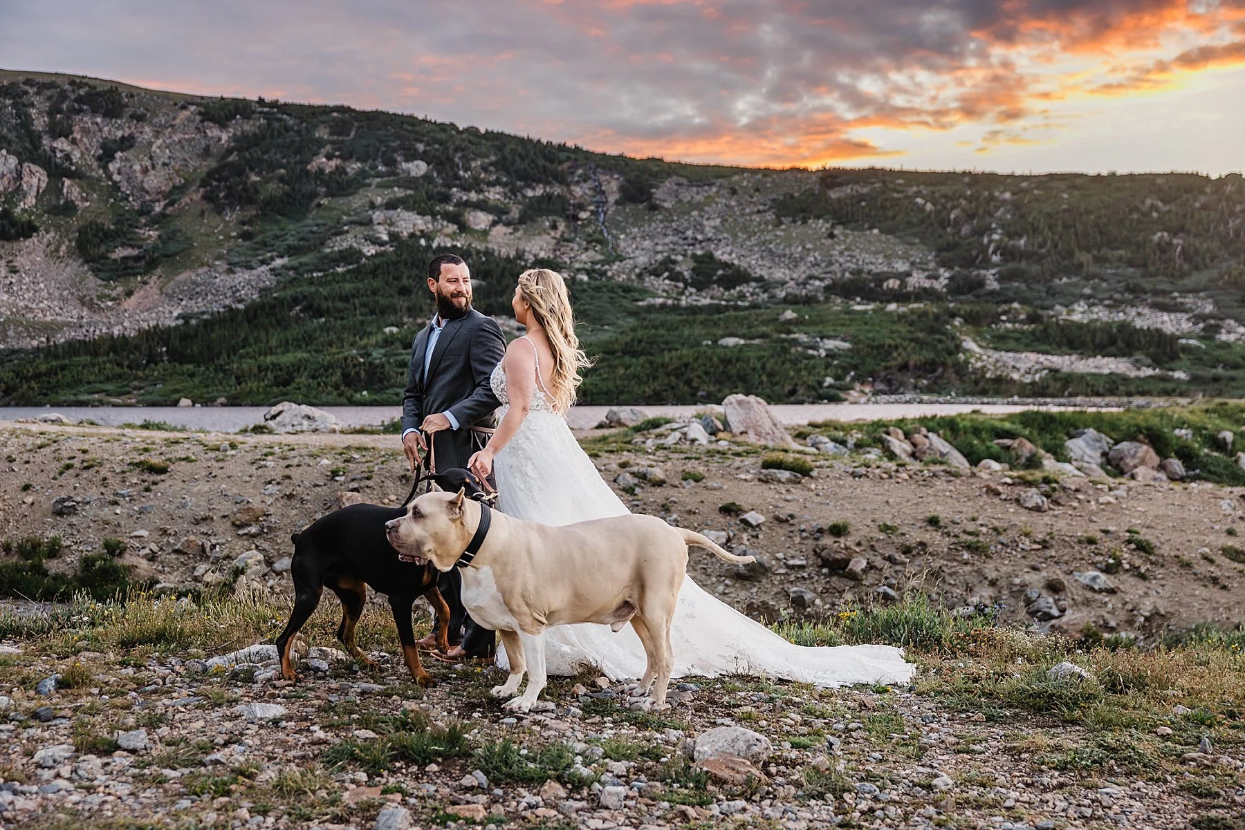 Summer-Elopement-in-Breckenridge-with-Dogs_0005.jpg