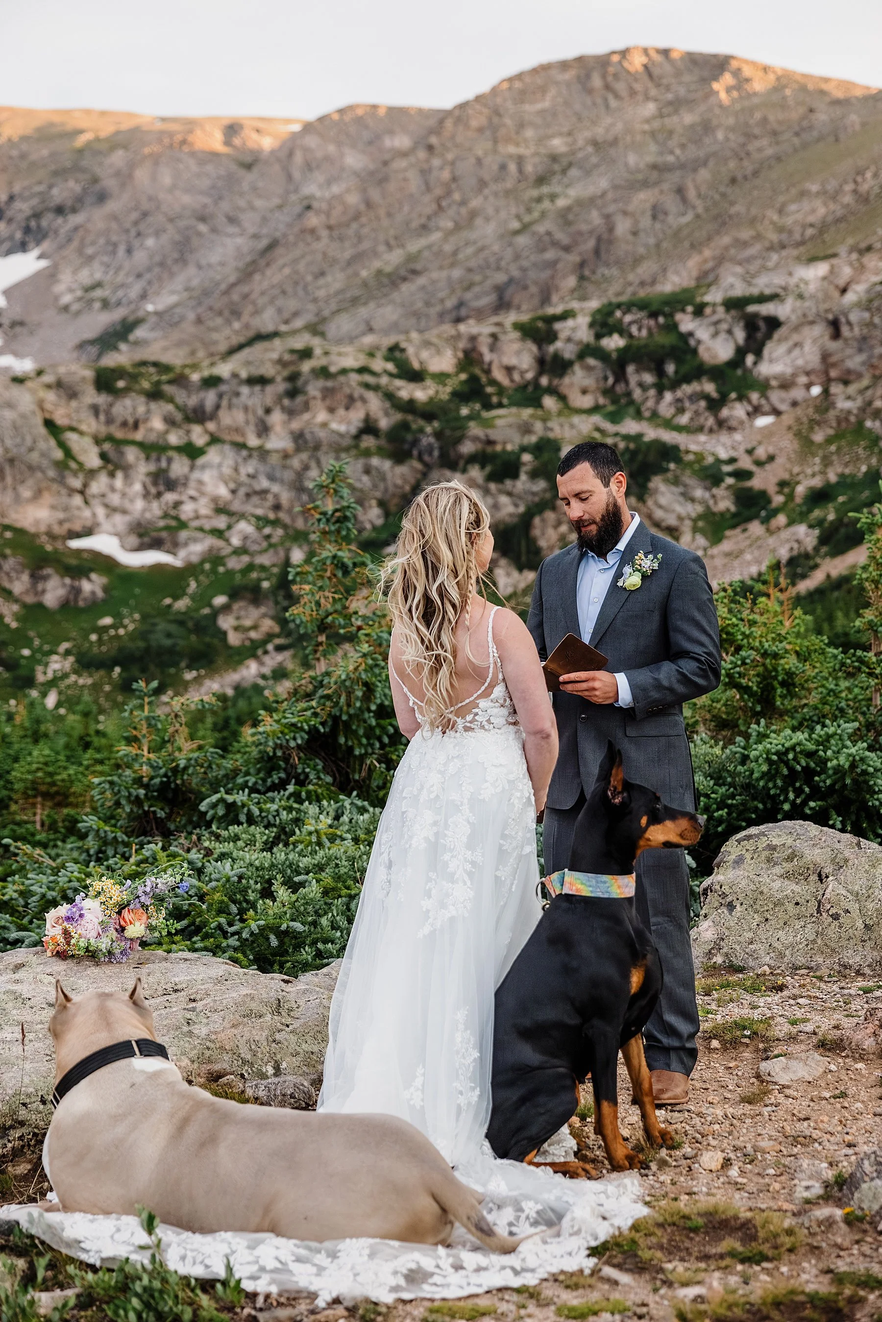 Summer-Elopement-in-Breckenridge-with-Dogs_0018.jpg