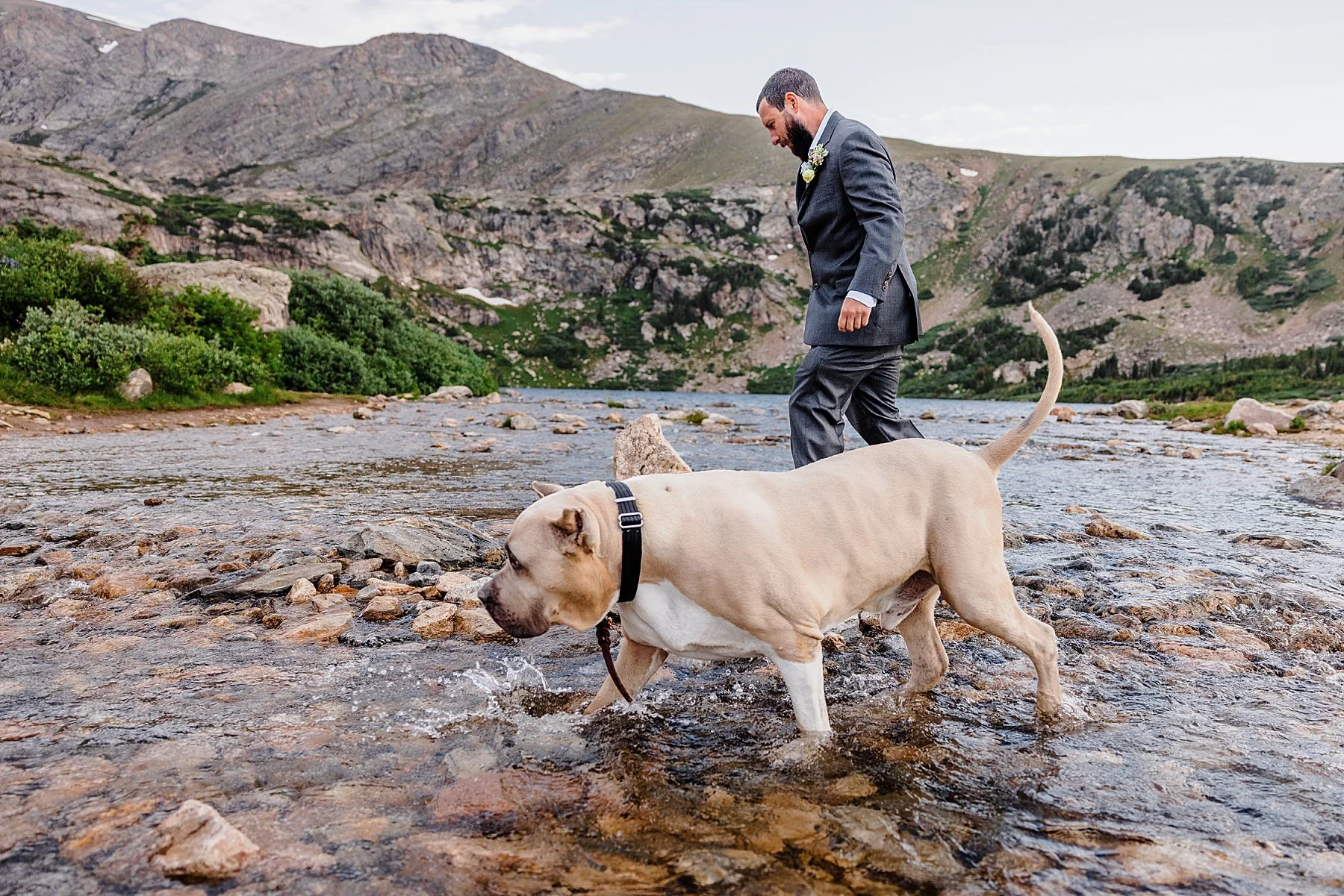 Summer-Elopement-in-Breckenridge-with-Dogs_0032.jpg