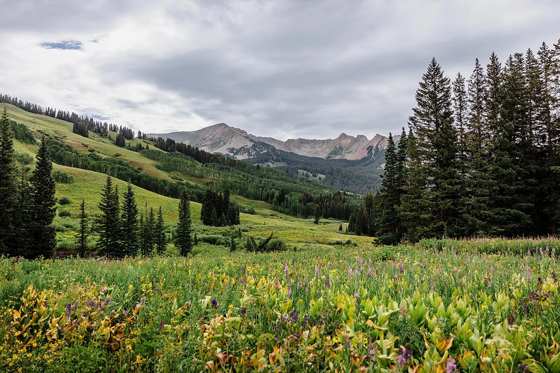 Crested-Butte-Elopement-with-Wildflowers-Colorado049.jpg