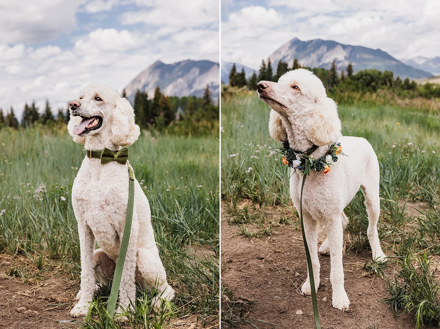 Crested-Butte-Elopement-with-Wildflowers-Colorado078.jpg