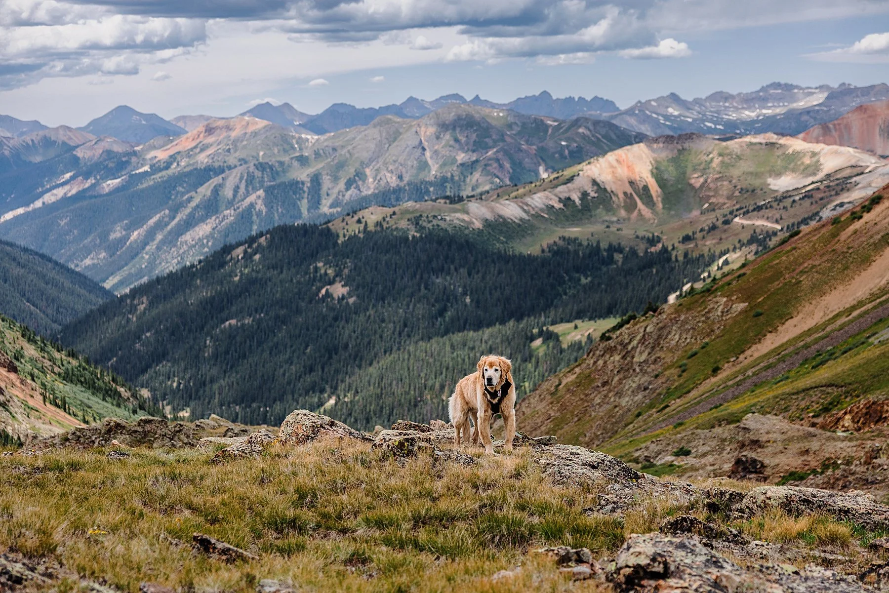 Ouray-Colorado-Elopement-Photographer_0043.jpg