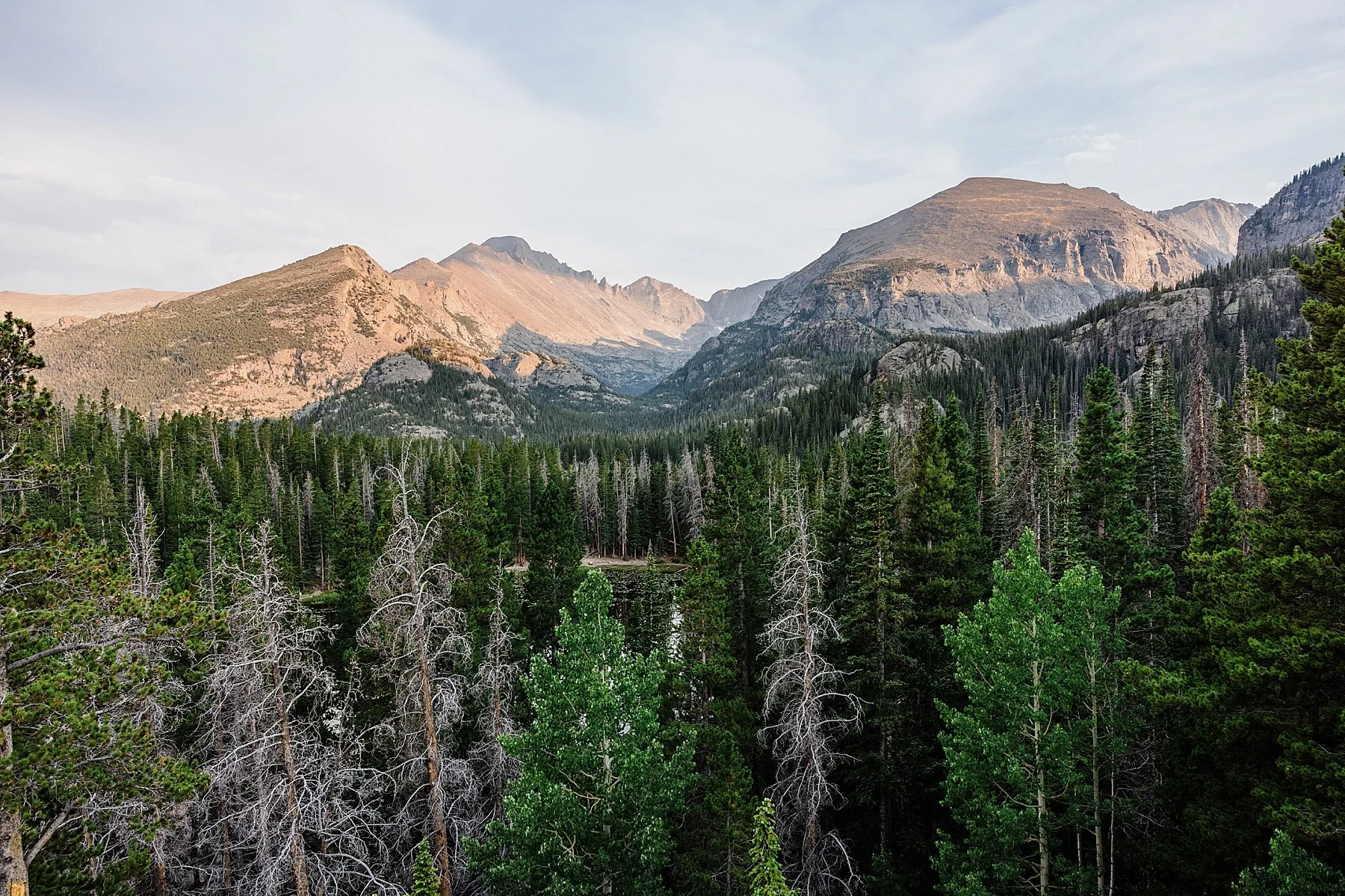 August-Elopement-at-3M-Curve-Rocky-Mountain-National-Park031.jpg
