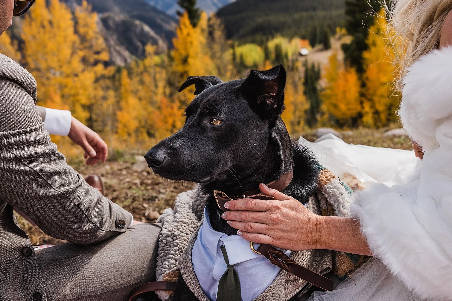 Small-Wedding-in-Ouray-Colorado-Mountains_0041.jpg