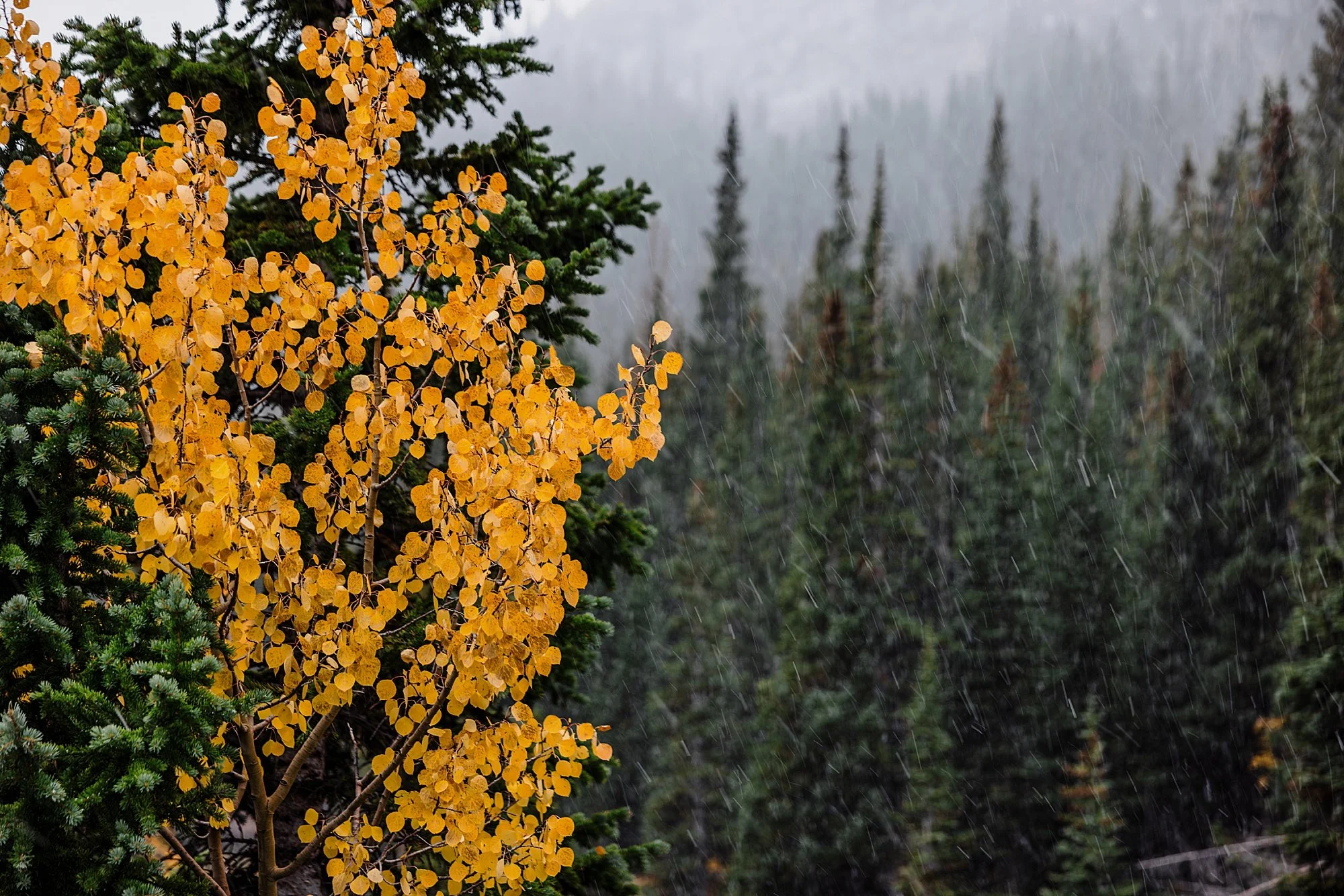 Snowy-October-Elopement-in-Breckenridge-Colorado_0039.jpg