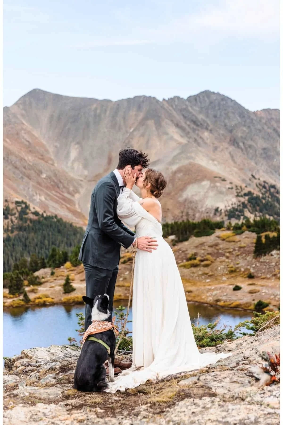 Dog at an elopement ceremony in Colorado