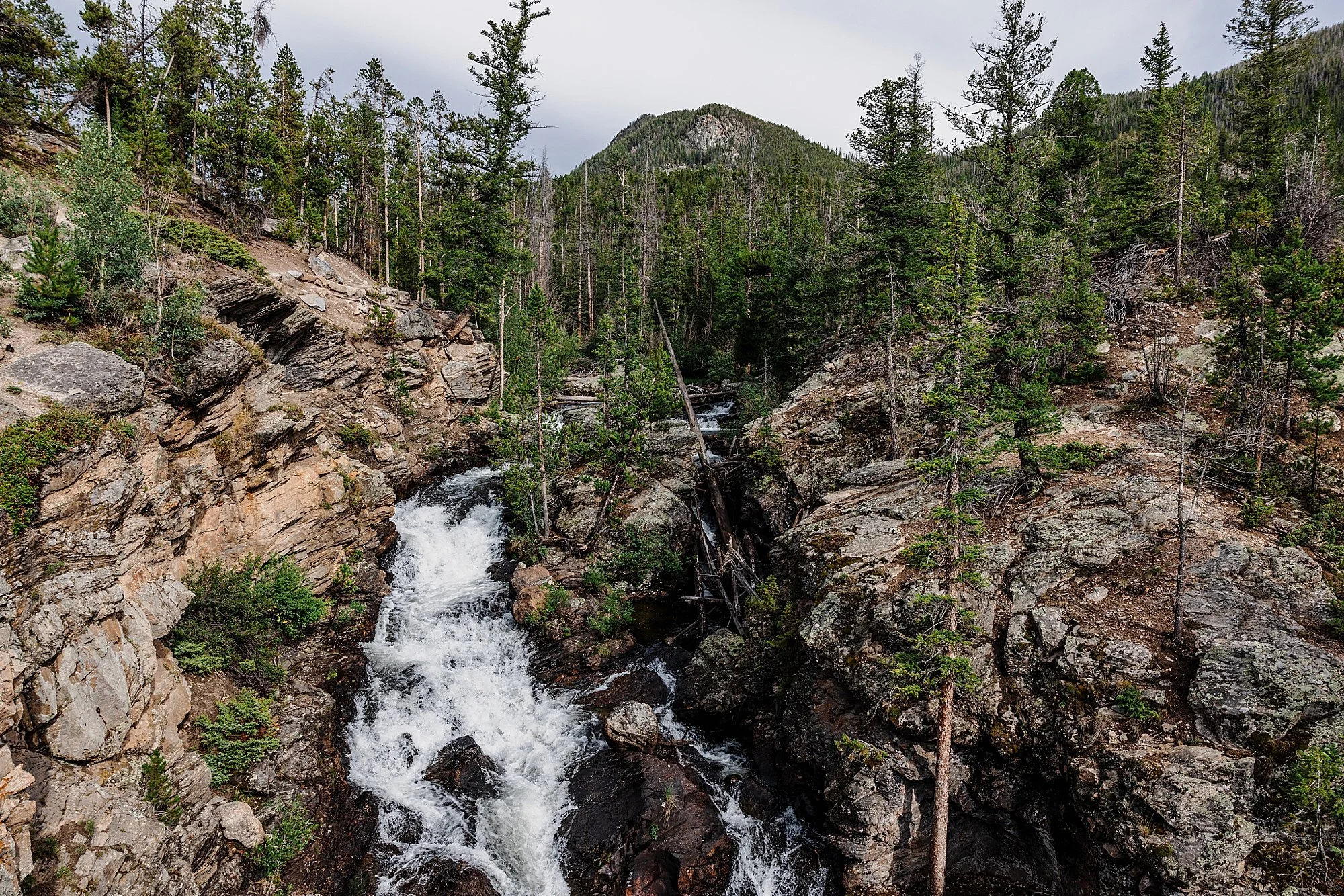 LGBTQ-Elopement-in-Grand-Lake-Colorado_0018.jpg