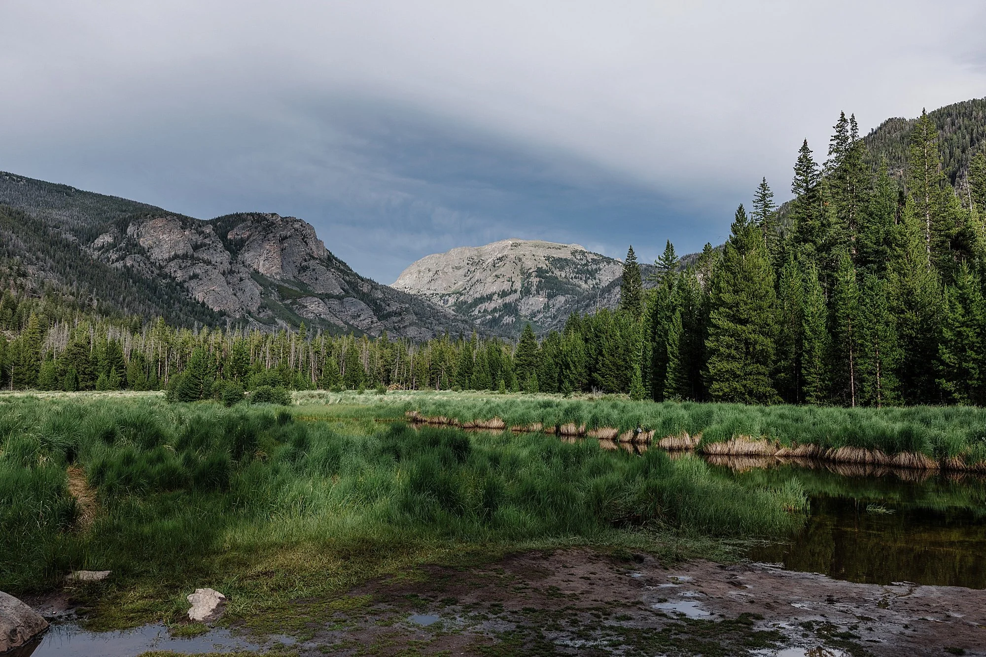 LGBTQ-Elopement-in-Grand-Lake-Colorado_0024.jpg