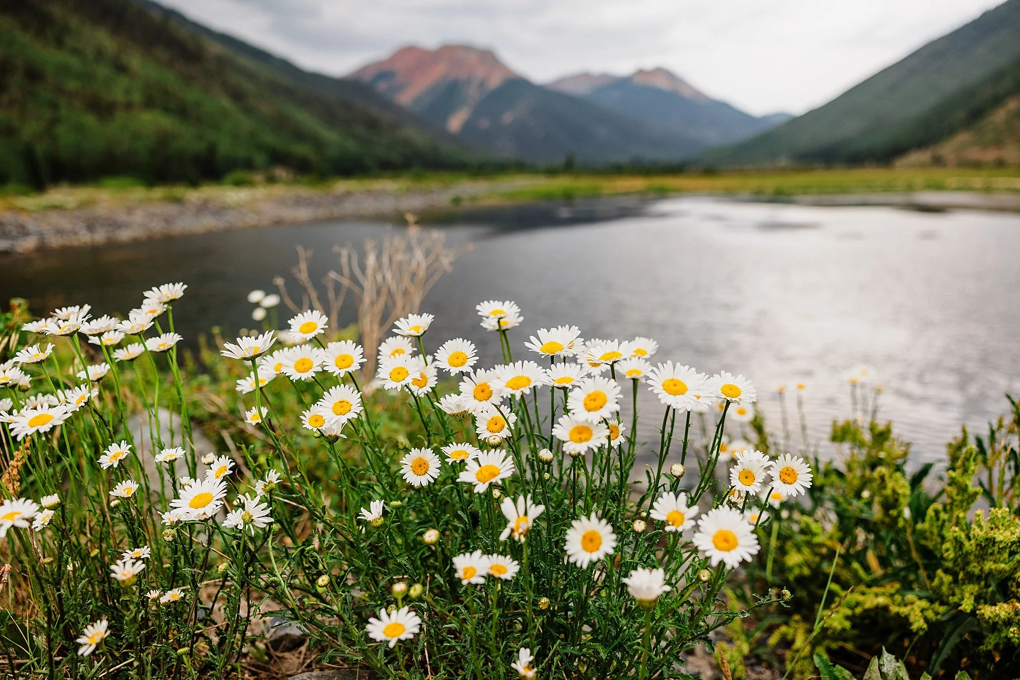 Summer-Waterfall-and-Off-Road-Elopement-in-Ouray-Colorado_0042.jpg