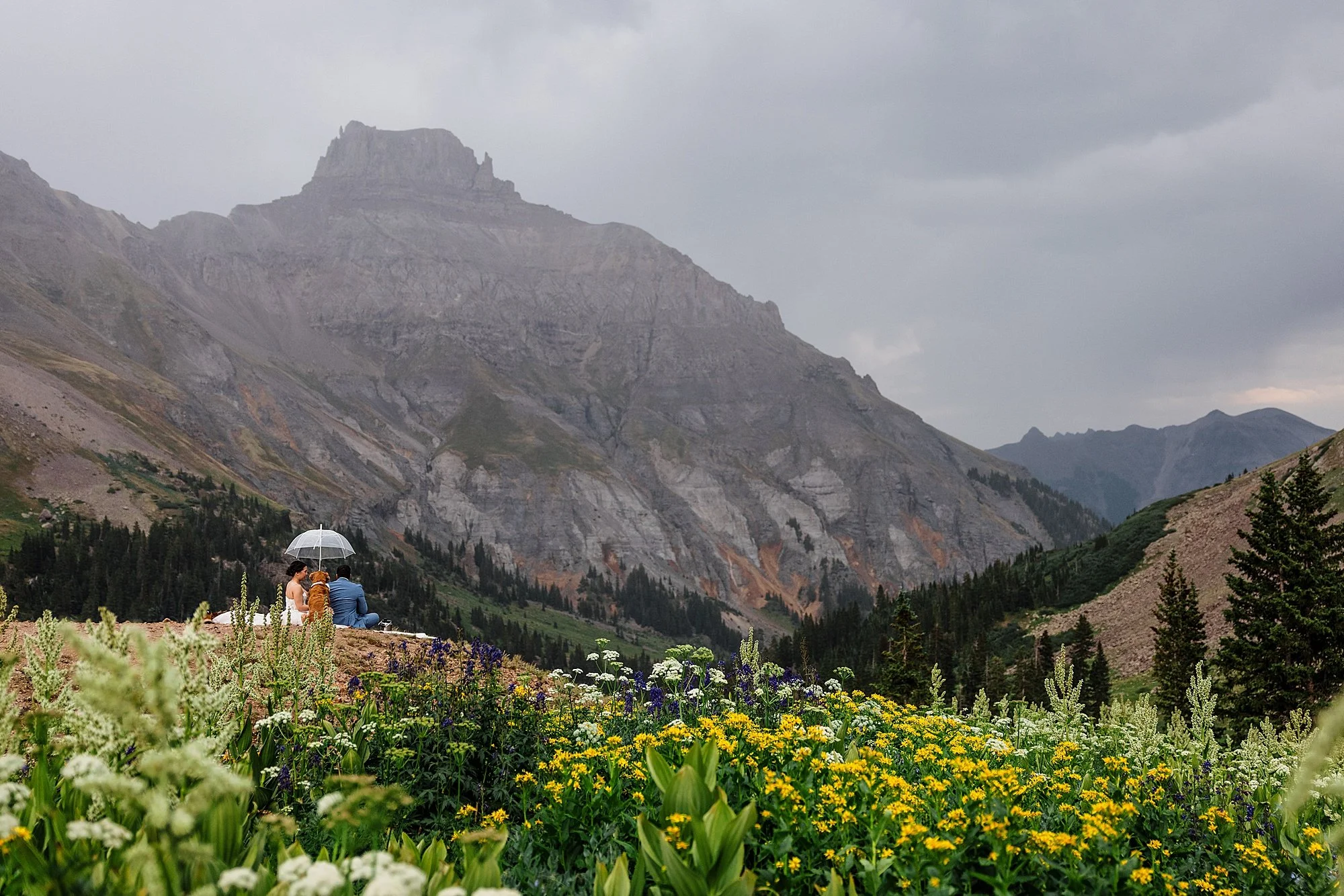 Summer-Waterfall-and-Off-Road-Elopement-in-Ouray-Colorado_0053.jpg
