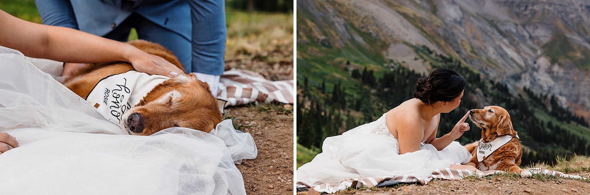 Summer-Waterfall-and-Off-Road-Elopement-in-Ouray-Colorado_0065.jpg