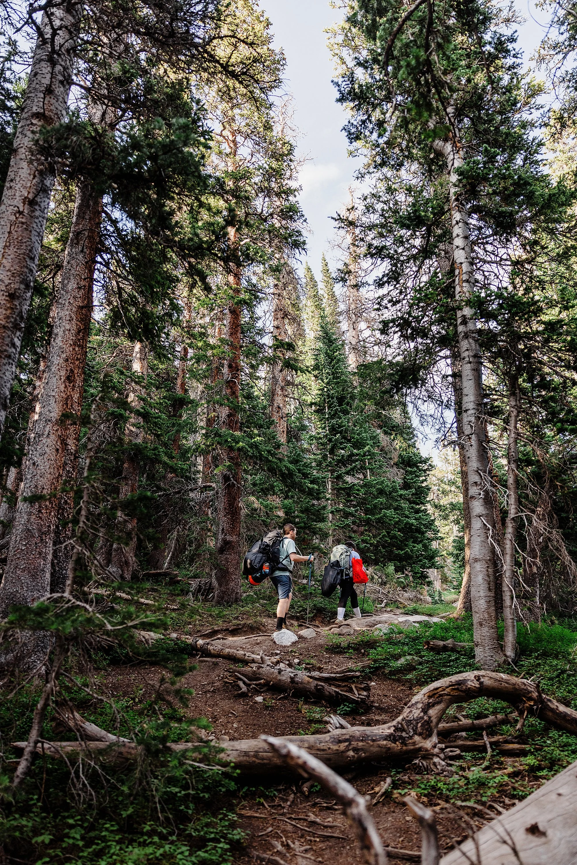 Summer-Hiking-Elopement-to-an-Alpine-Lake-in-Colorado_010.jpg