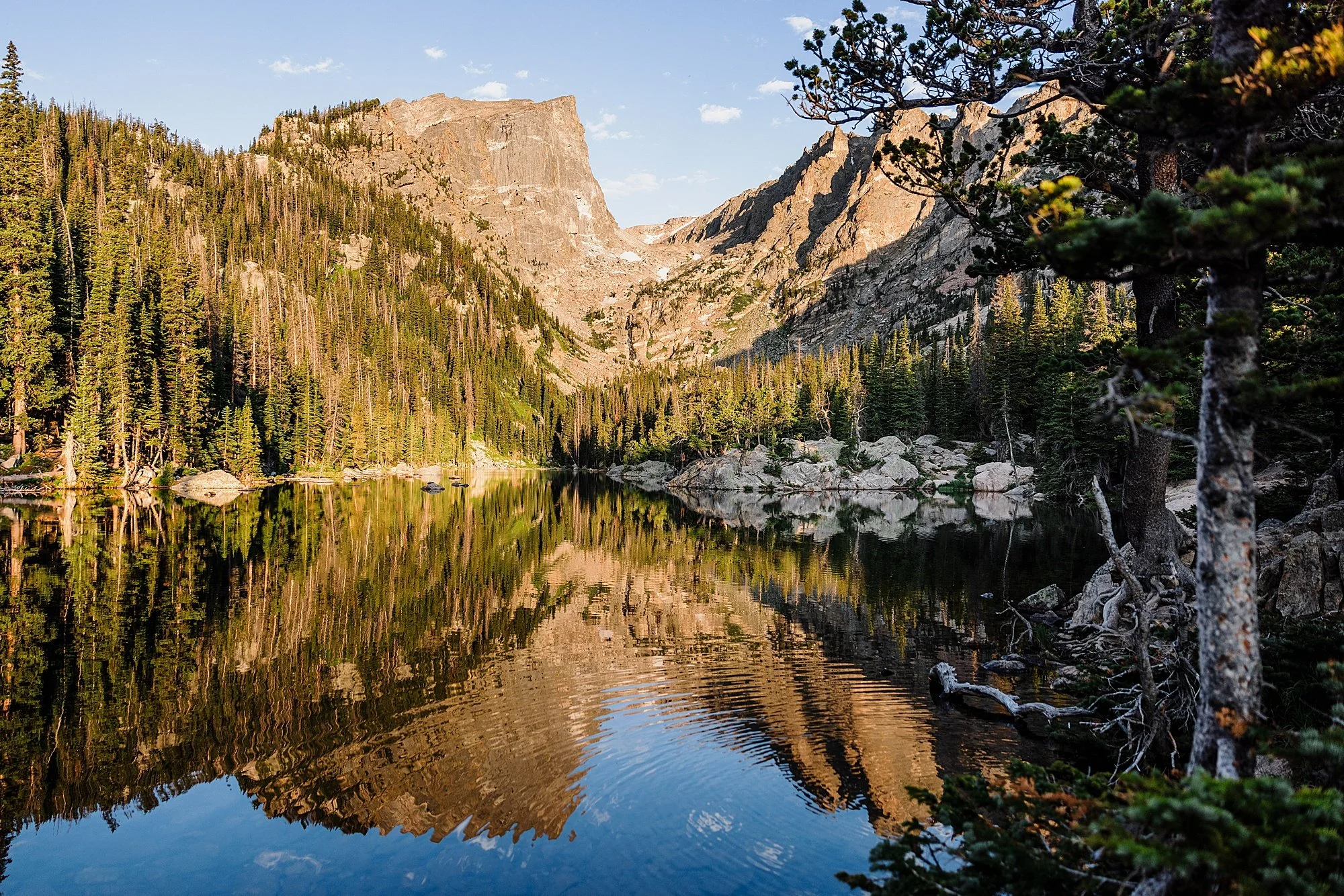 Moraine-Park-Amphitheater-Wedding-in-Rocky-Mountain-National-Park_0027.jpg