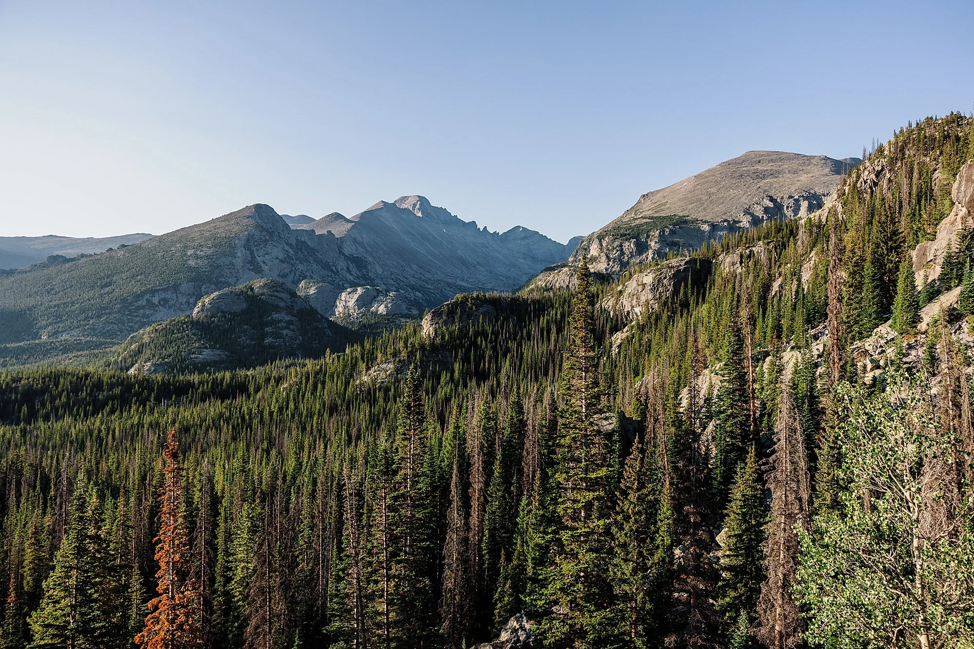 Moraine-Park-Amphitheater-Wedding-in-Rocky-Mountain-National-Park_0030.jpg