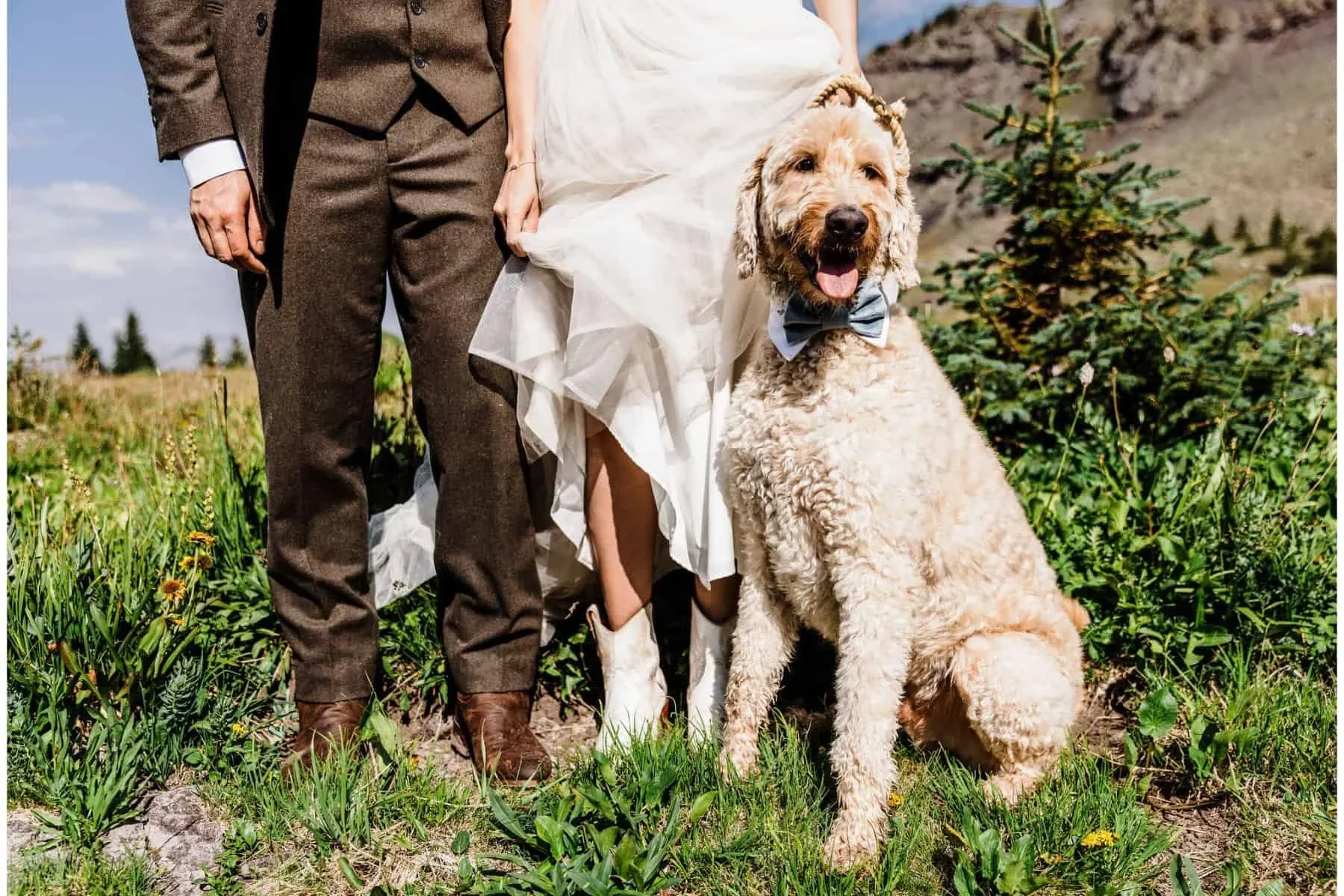 Dog-Friendly-Colorado-Elopement-Photographer-17.webp (Copy)