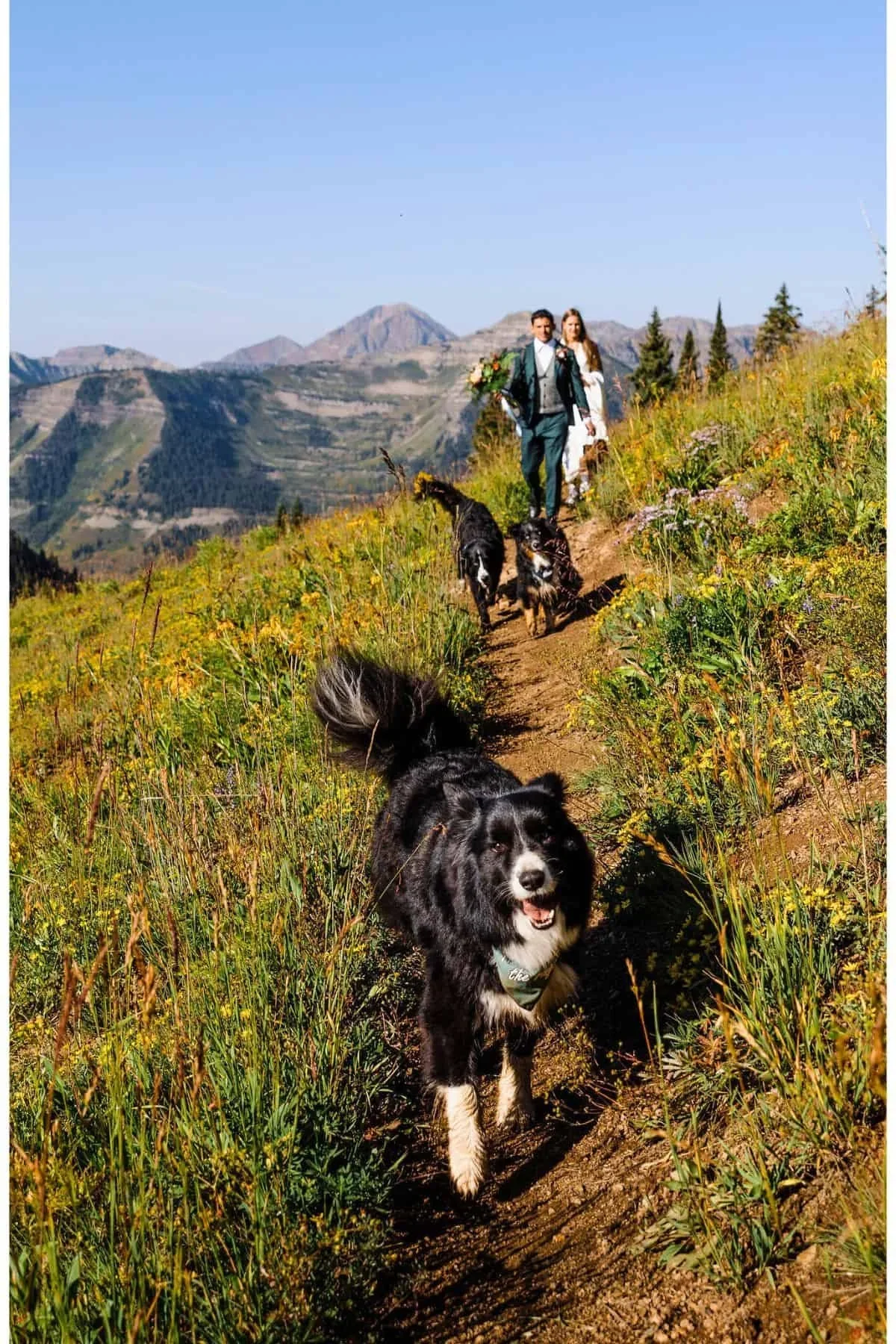 Dog-Friendly-Colorado-Elopement-Photographer-11.webp (Copy)