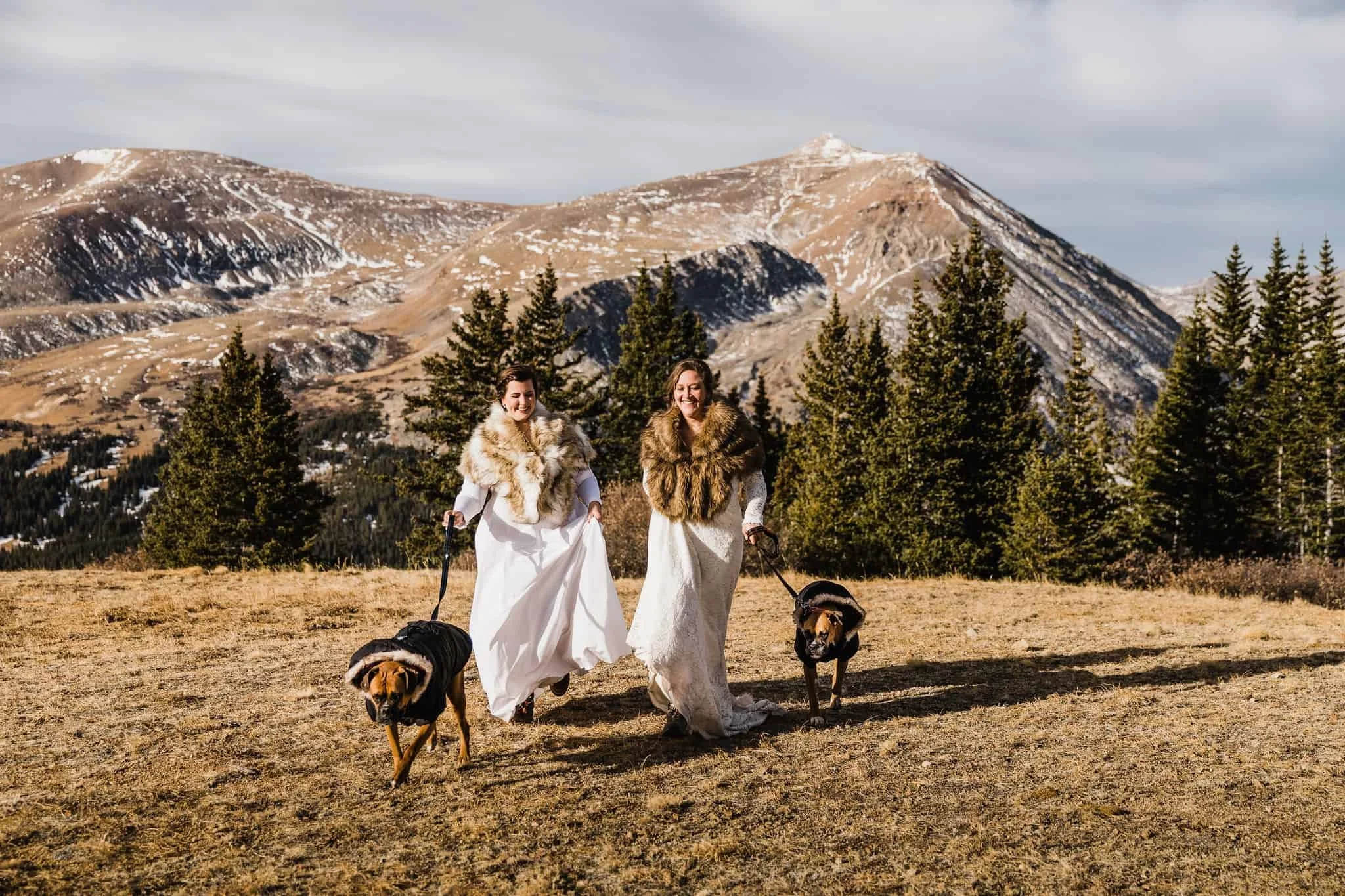 Two bride run with their dogs