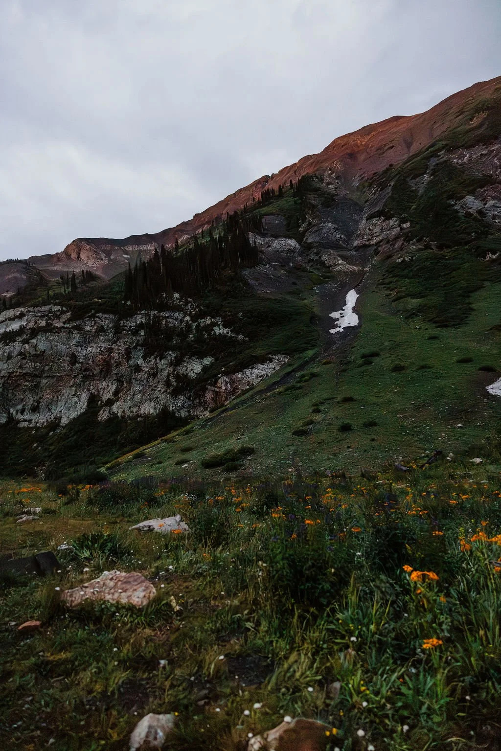 Crested-Butte-Colorado-Wildflower-Elopement_0001.jpg