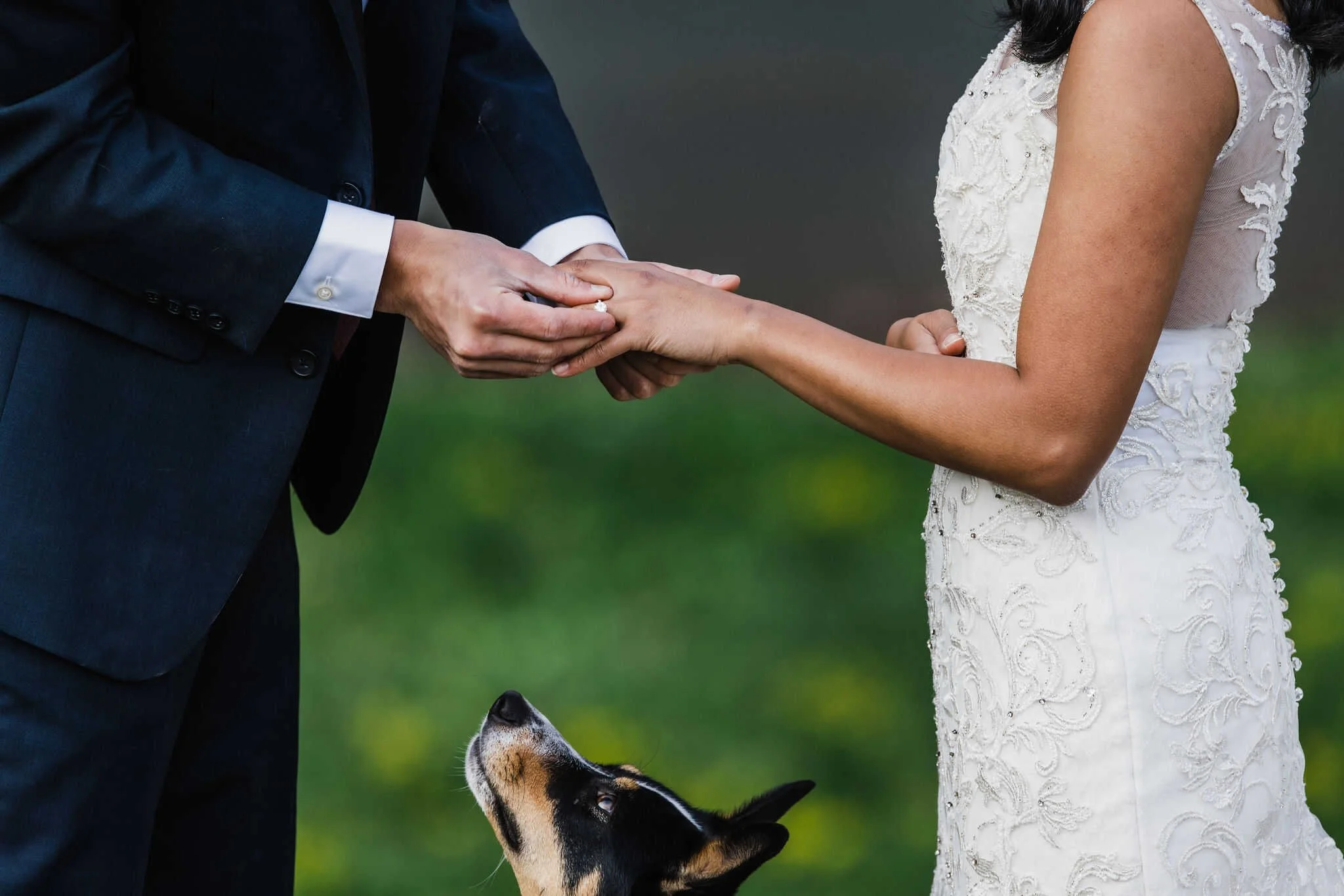Elopement ceremony with a dog