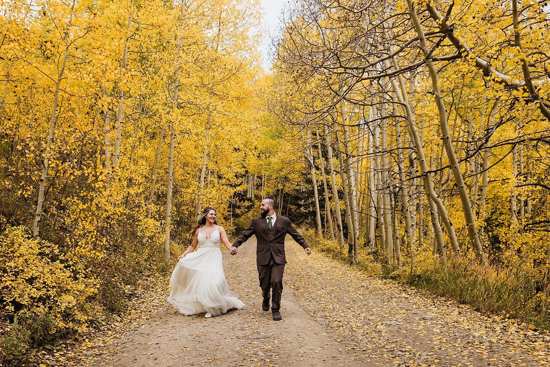 Fall color in Telluride