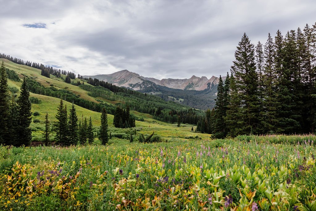 Crested-Butte-Colorado-Wildflower-Elopement_0078.jpg
