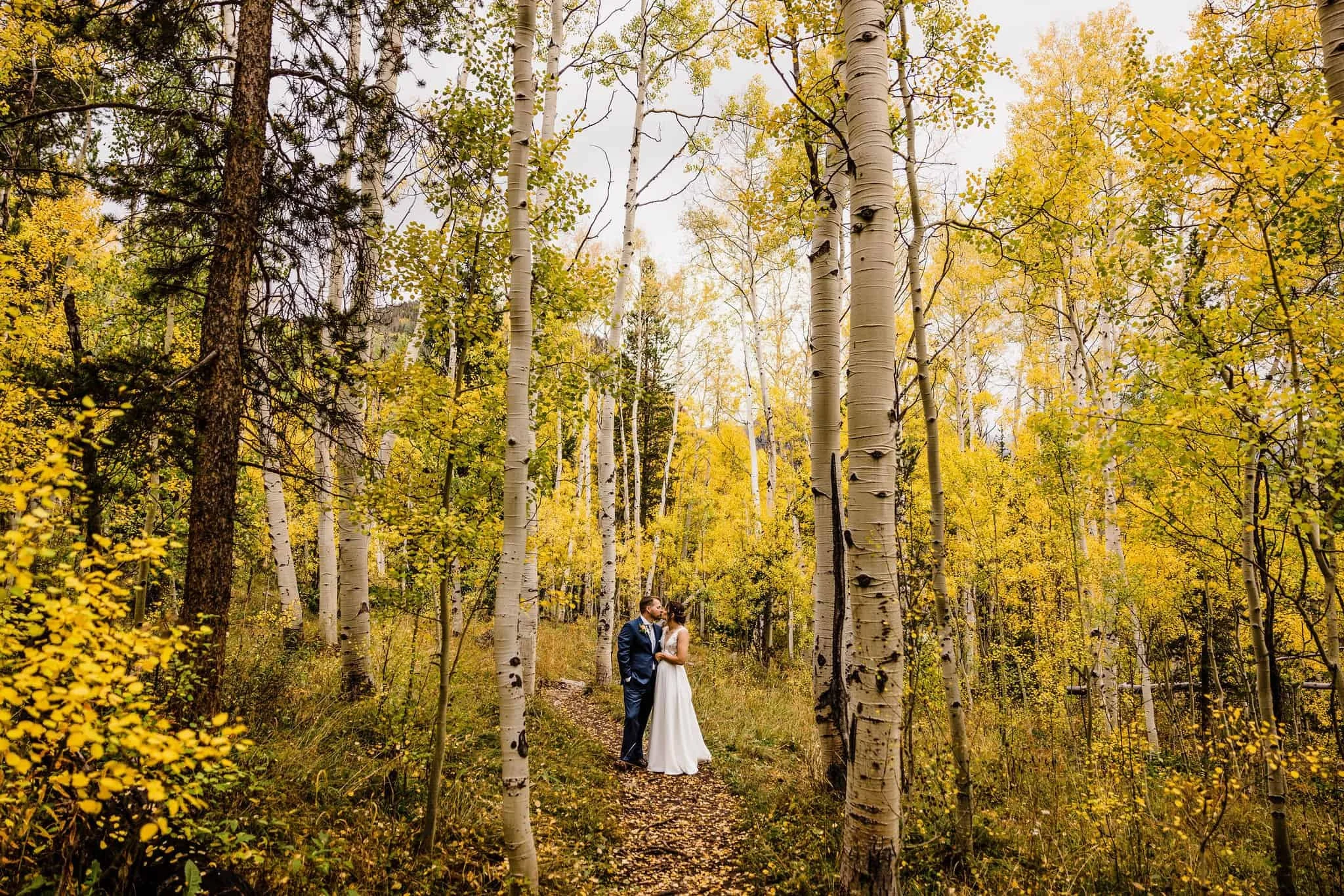 Golden aspen grove in the fall