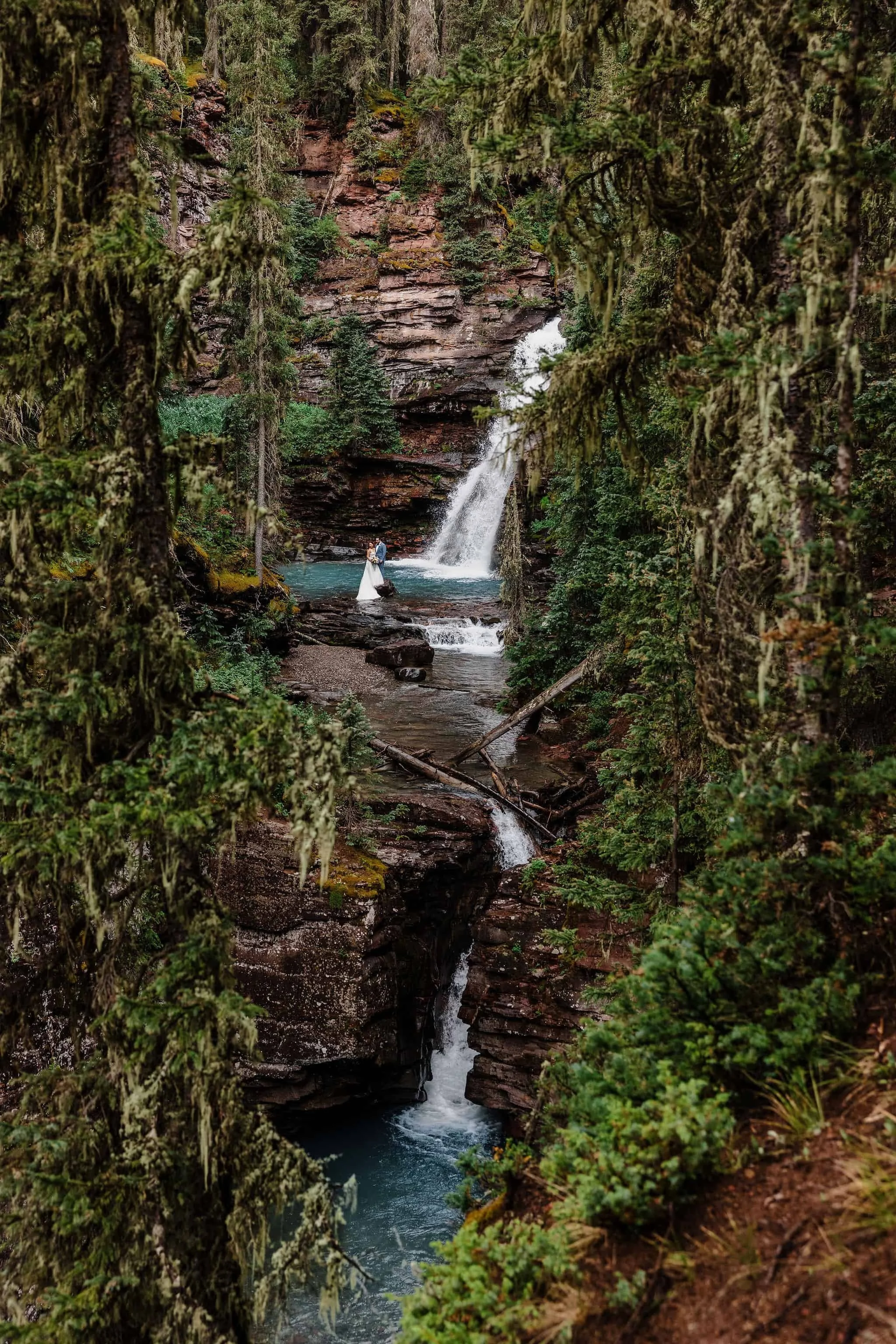 Forest waterfall in Colorado