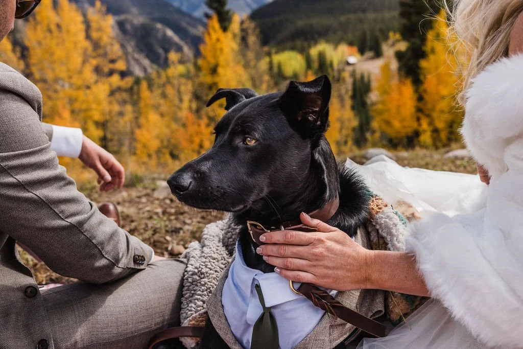 Ouray Coloradoo Elopement in the Fall_0067.jpg