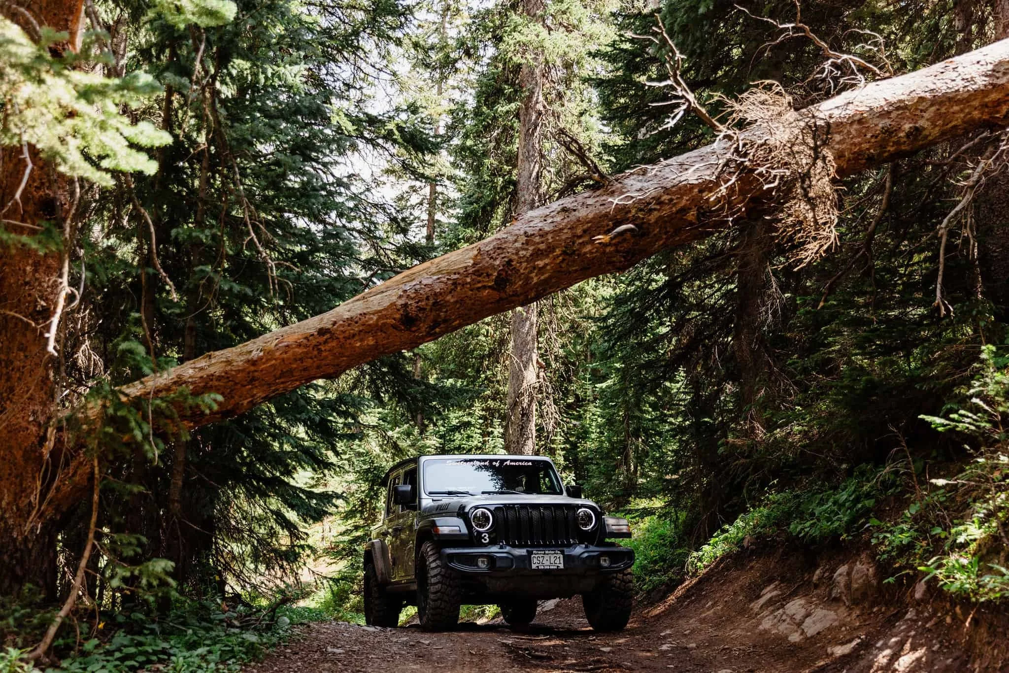 Colorado Jeep elopement in the forest