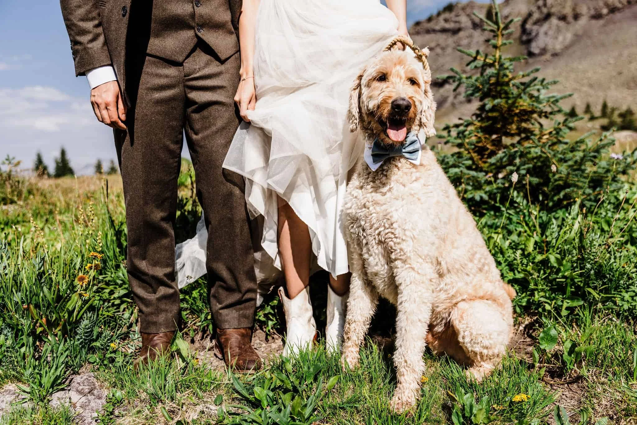 Vow-of-the-Wild_Ouray-Colorado-Elopement_0036.jpg