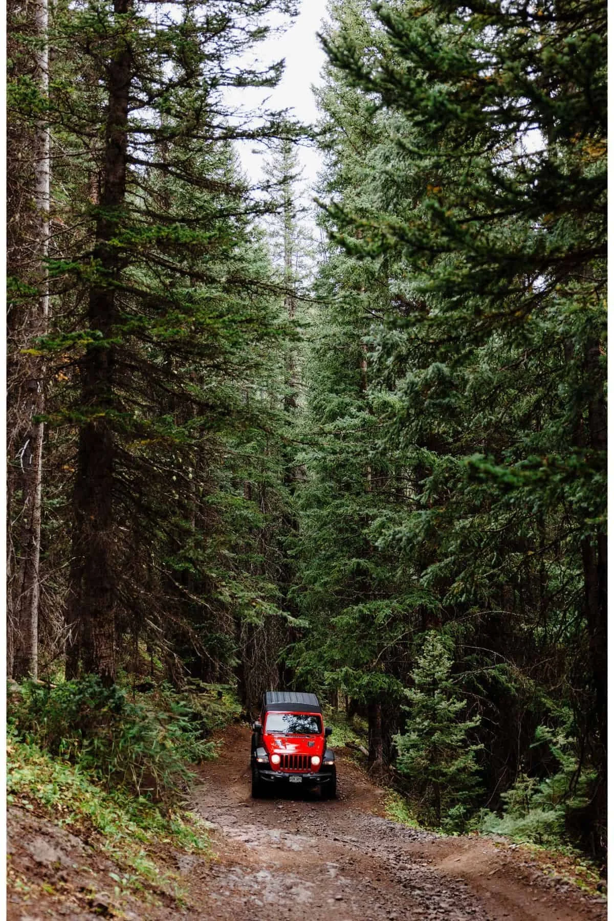 Off-Road-Colorado-Elopement-Photographer (1)3.jpg