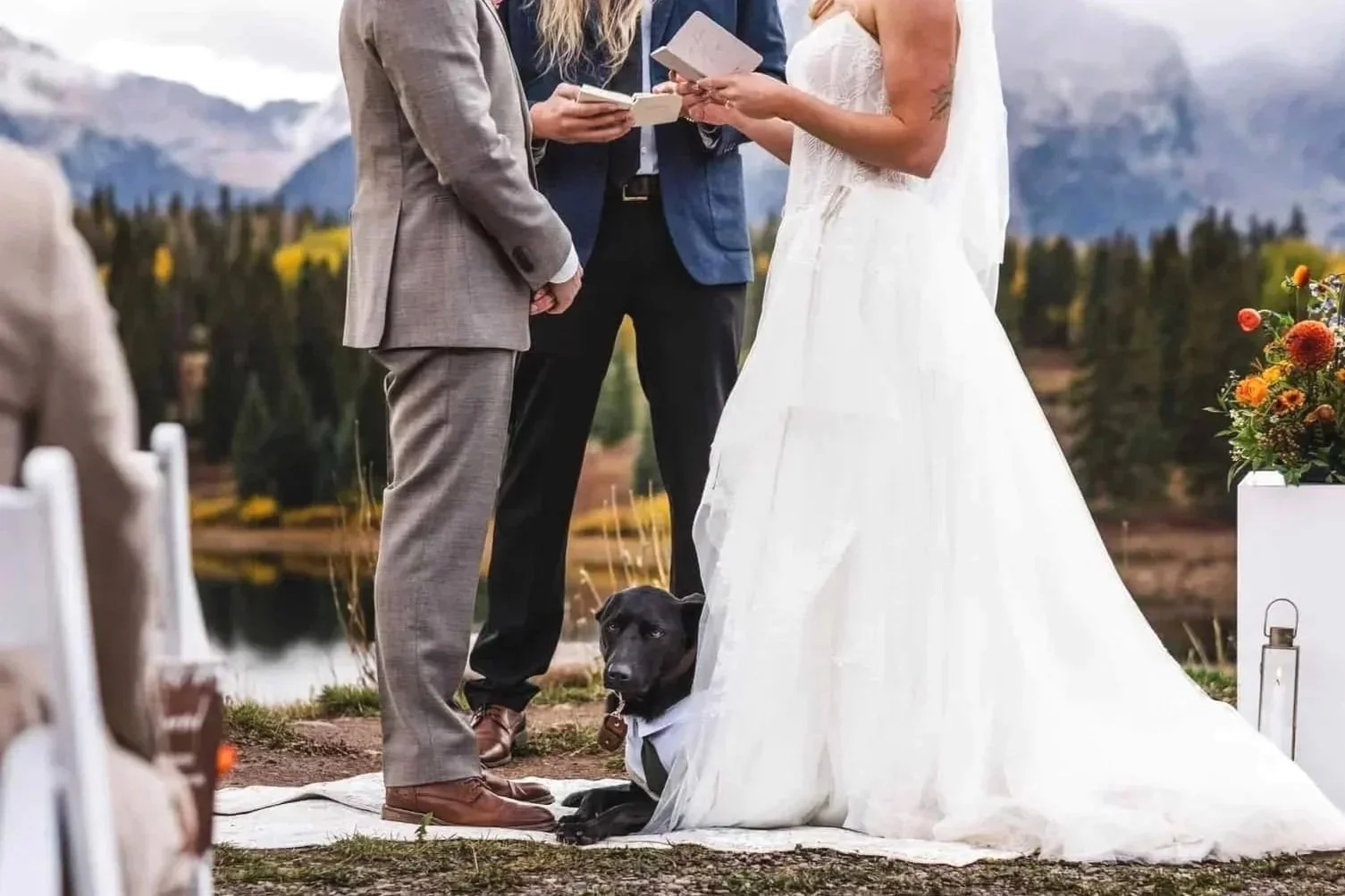 Dog at an elopement ceremony