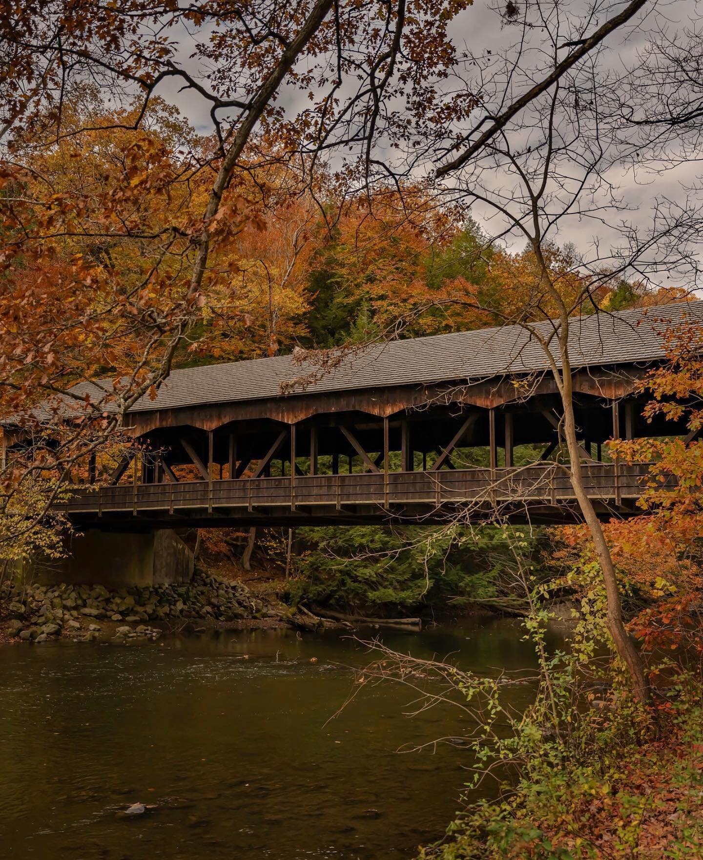 The beauty of having all 4 seasons in Ohio is that each one is uniquely different. Have you visited the covered bridge at Mohican State Park before?? 10 minutes from The Hillside is some beautiful hiking, canoeing, and camp sites along the Mohican Ri
