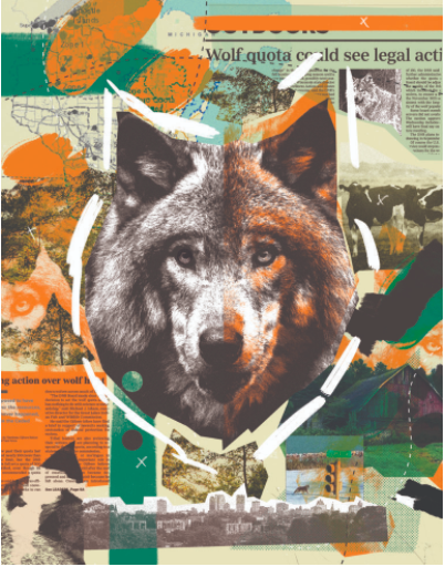 The Wolf Next Door, Milwaukee Magazine 2021