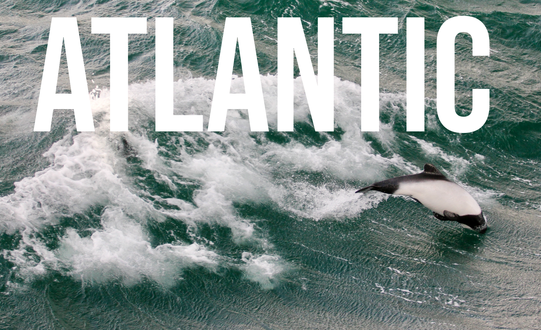 Screenshot 2026-01-27 at 6.04.40 PM.png