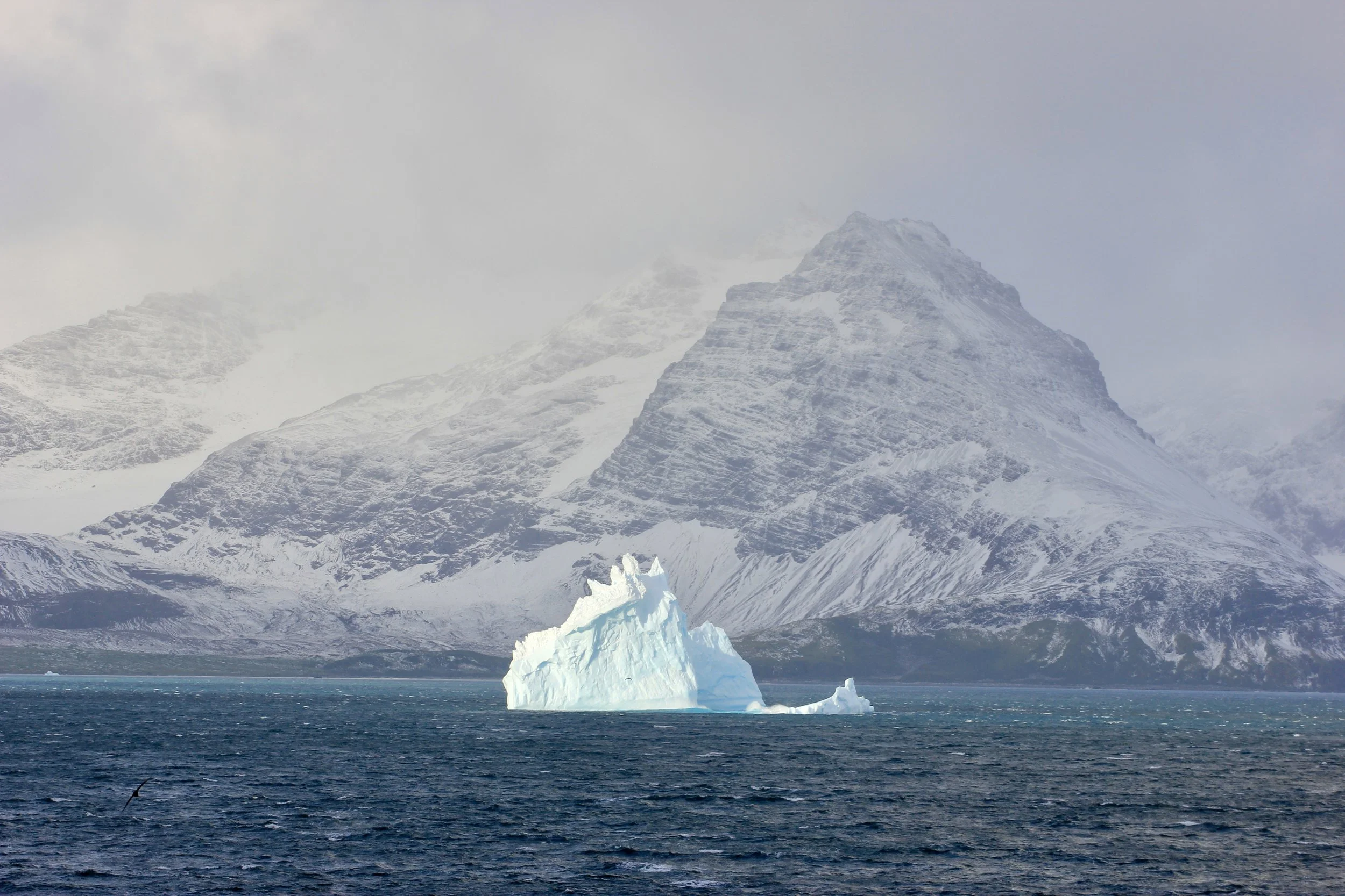 Isabel (405) - Ice Ice Baby (Landscape).jpg