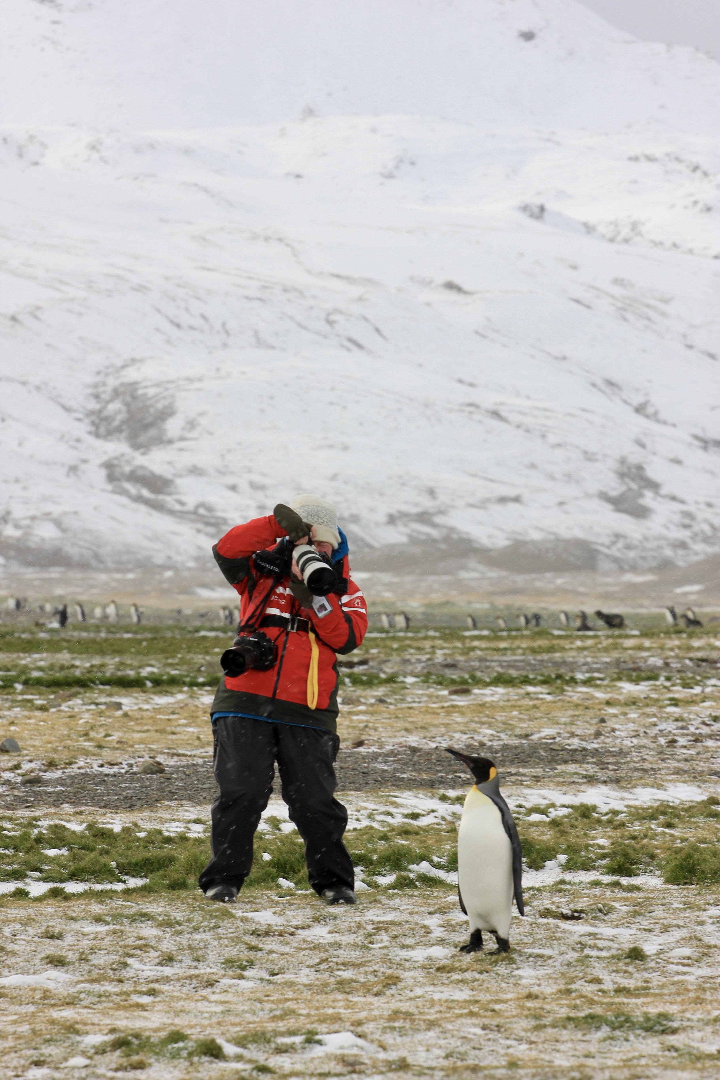 Isabel (405) - Say Cheese (People).jpg