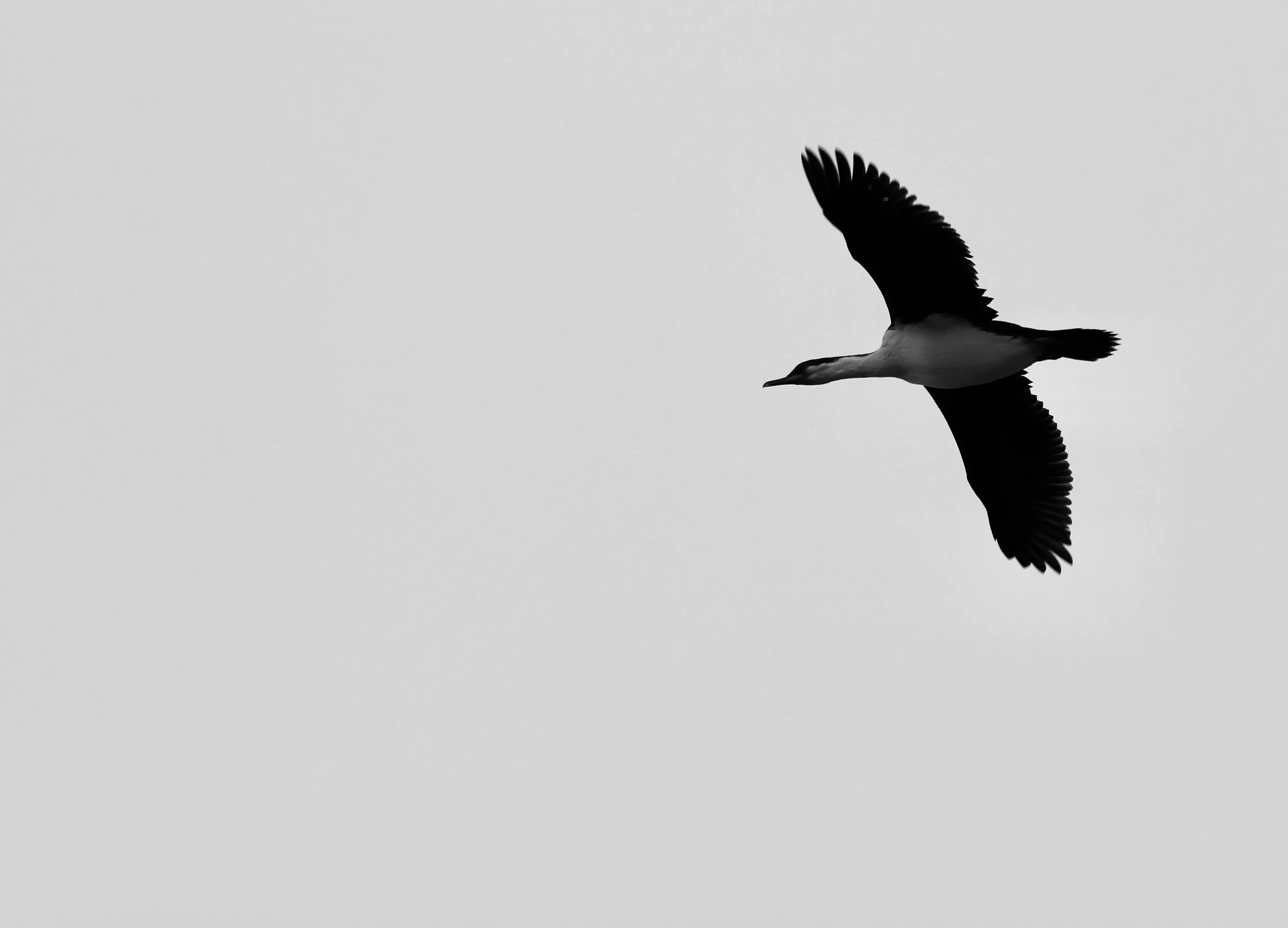 Isabel (405) - Aerial View (Abstract).jpg